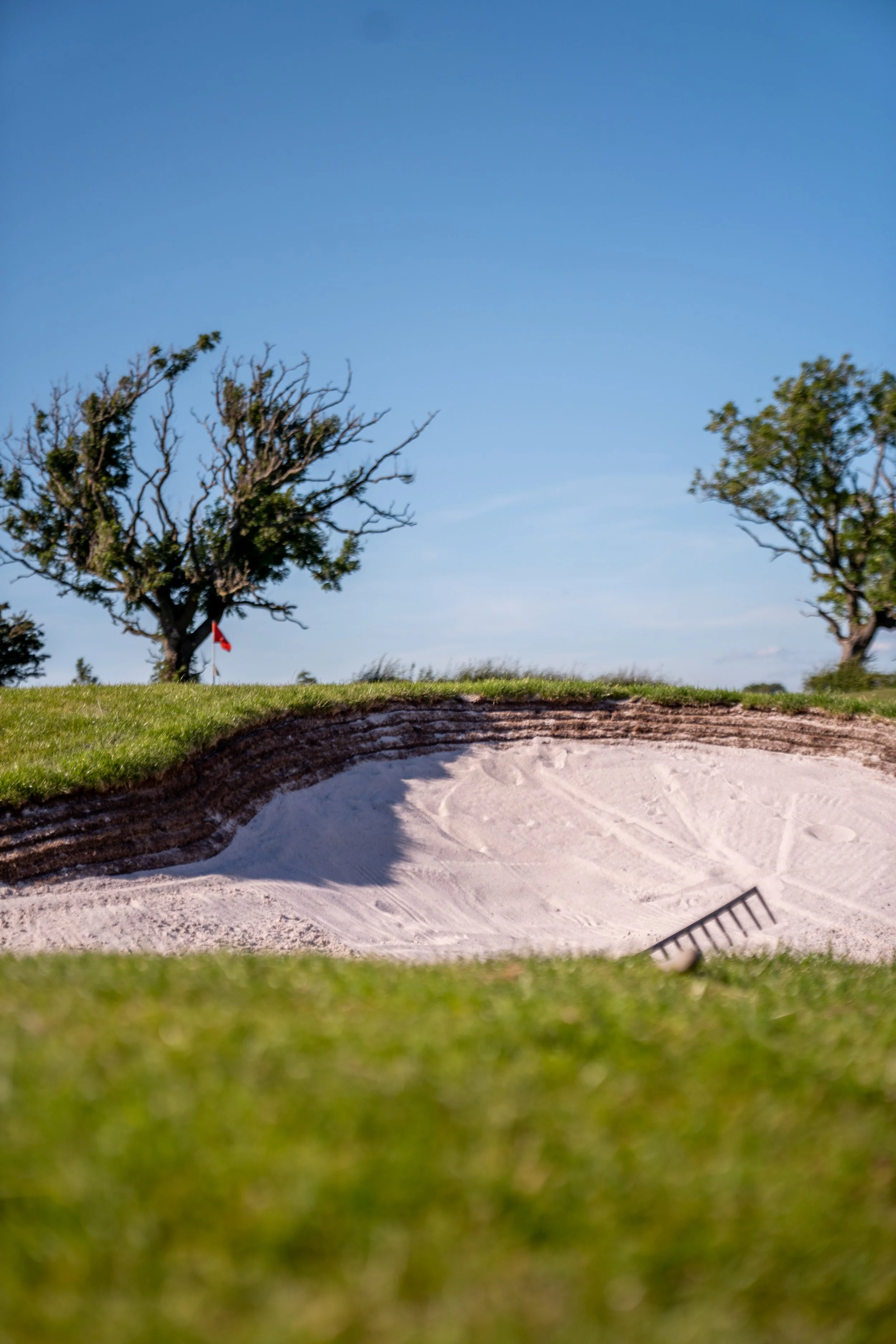 View of a golf course sand trap with a rake, surrounded by green grass, a grassy hill, and two trees under a clear blue sky.