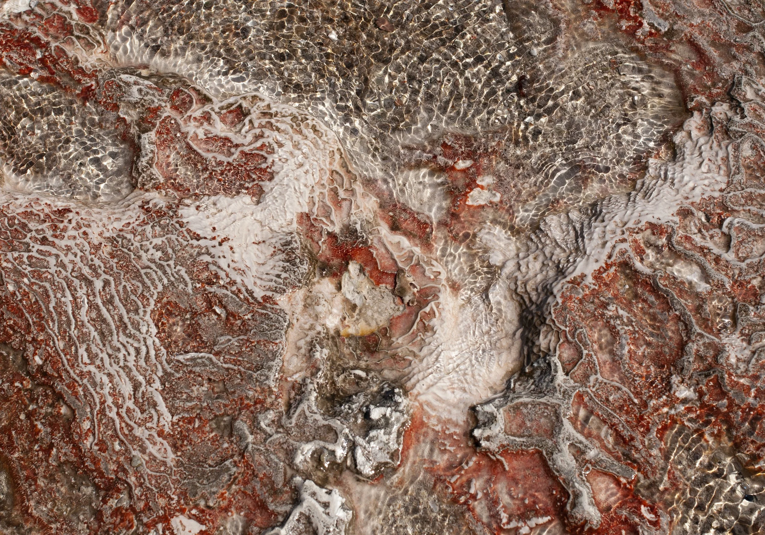 Close-up of a rocky, mineral-rich surface with red, white, and brown patterns and textures, some areas with crystalline or bubble-like formations.