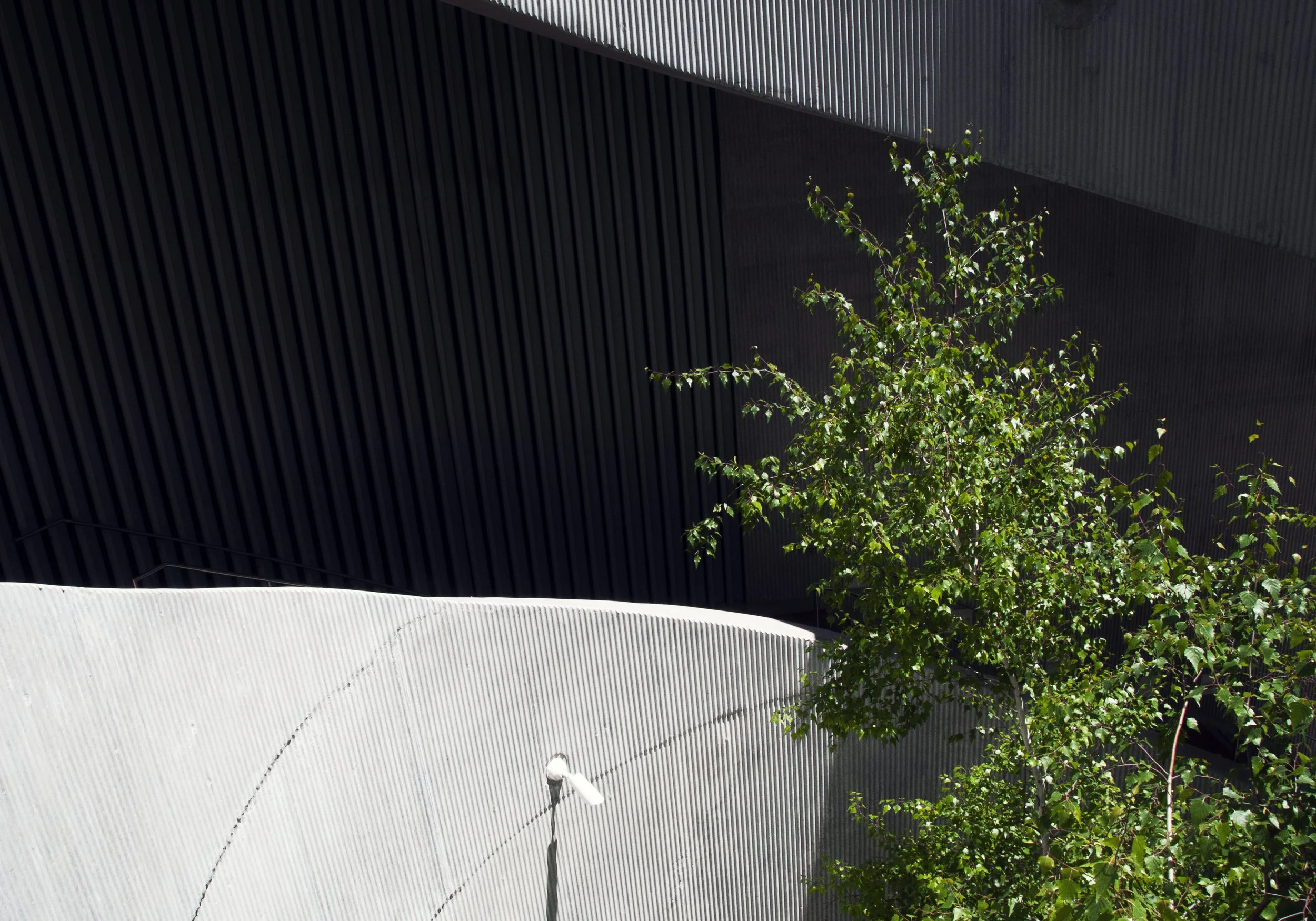 joanna-kata-eco-brutalism-chicago-tree.jpg