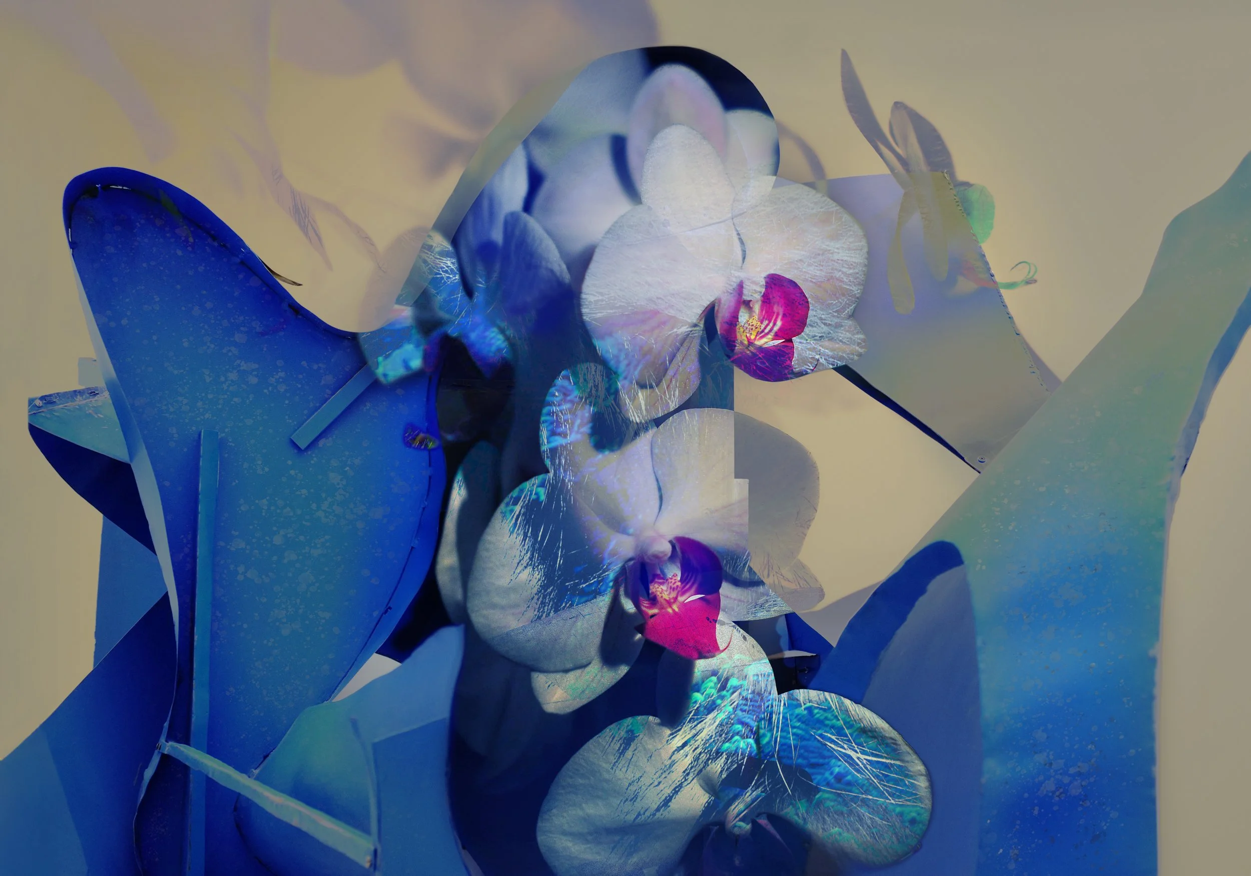joanna-kata-orchid-photomontage.jpg