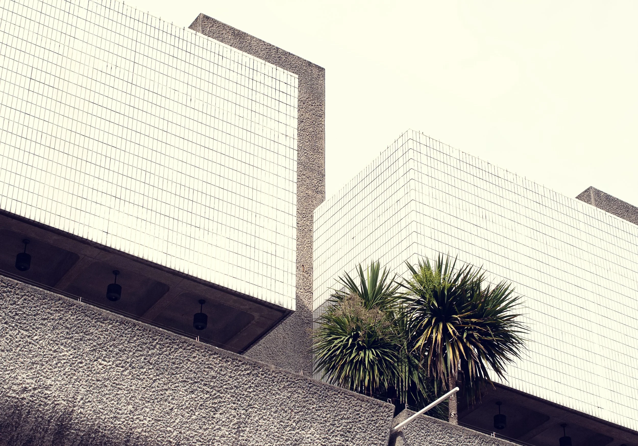A modern building with white tiled exterior walls, textured concrete surfaces, and tall palm trees in front.