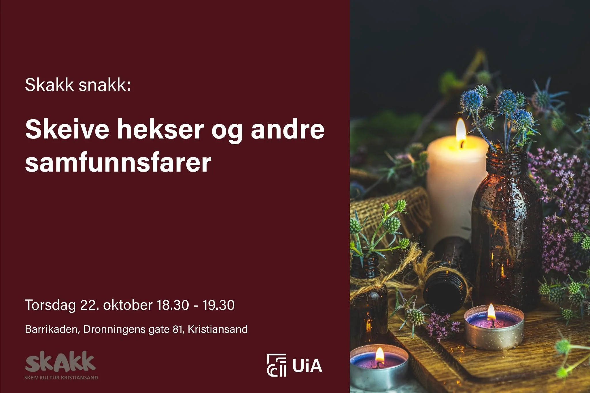 Skeive hekser og andre samfunnsfarer