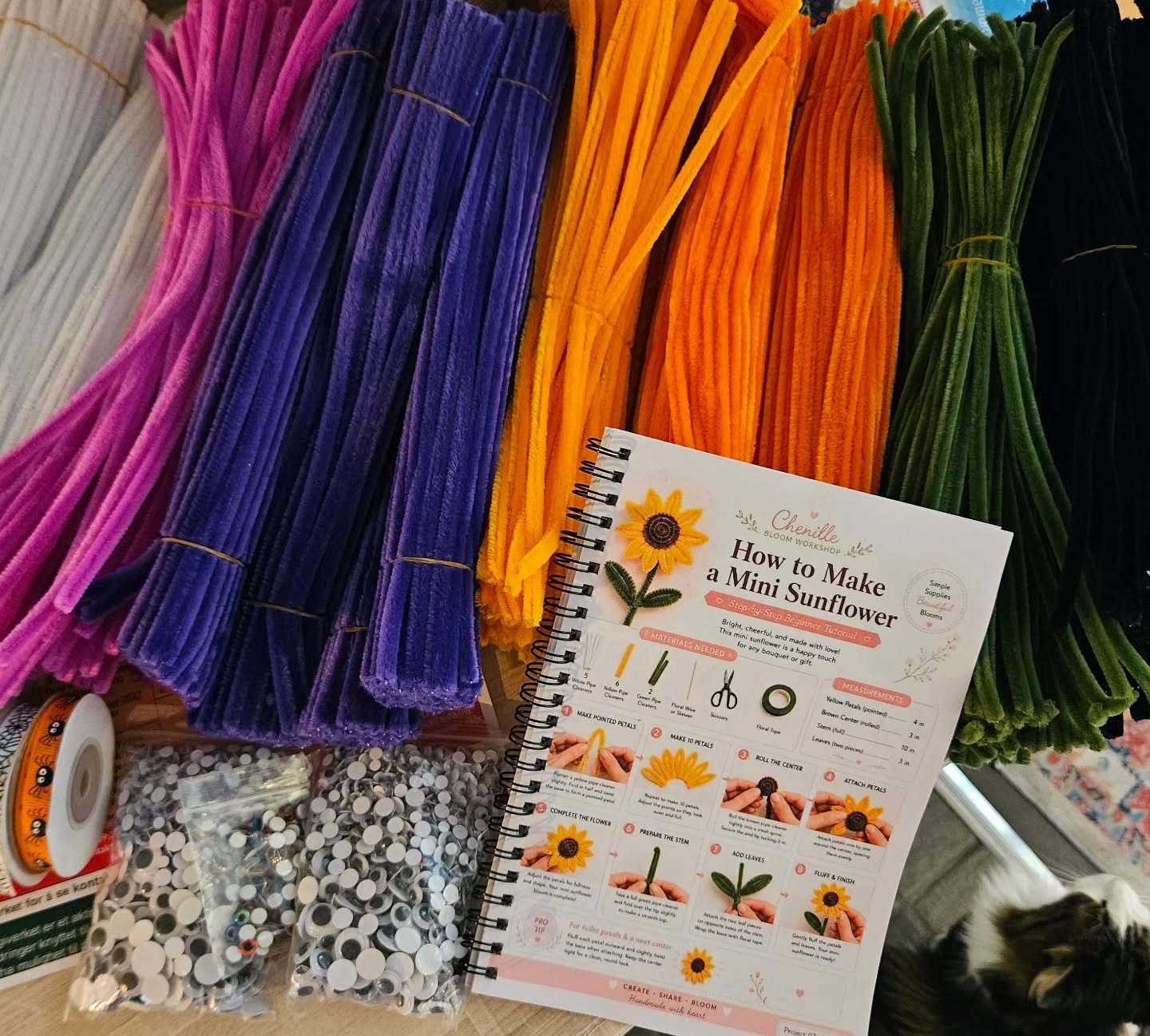 Vi har f&aring;tt p&aring;fyll til halloween verksted 29 og 30 oktober - katten er dessverre ikke inkludert 😅 Men vi har over 2000 googly eyes + monster eyes da, s&aring; her er det bare &aring; sl&aring; seg l&oslash;s! 

Og, det blir andre crafts 