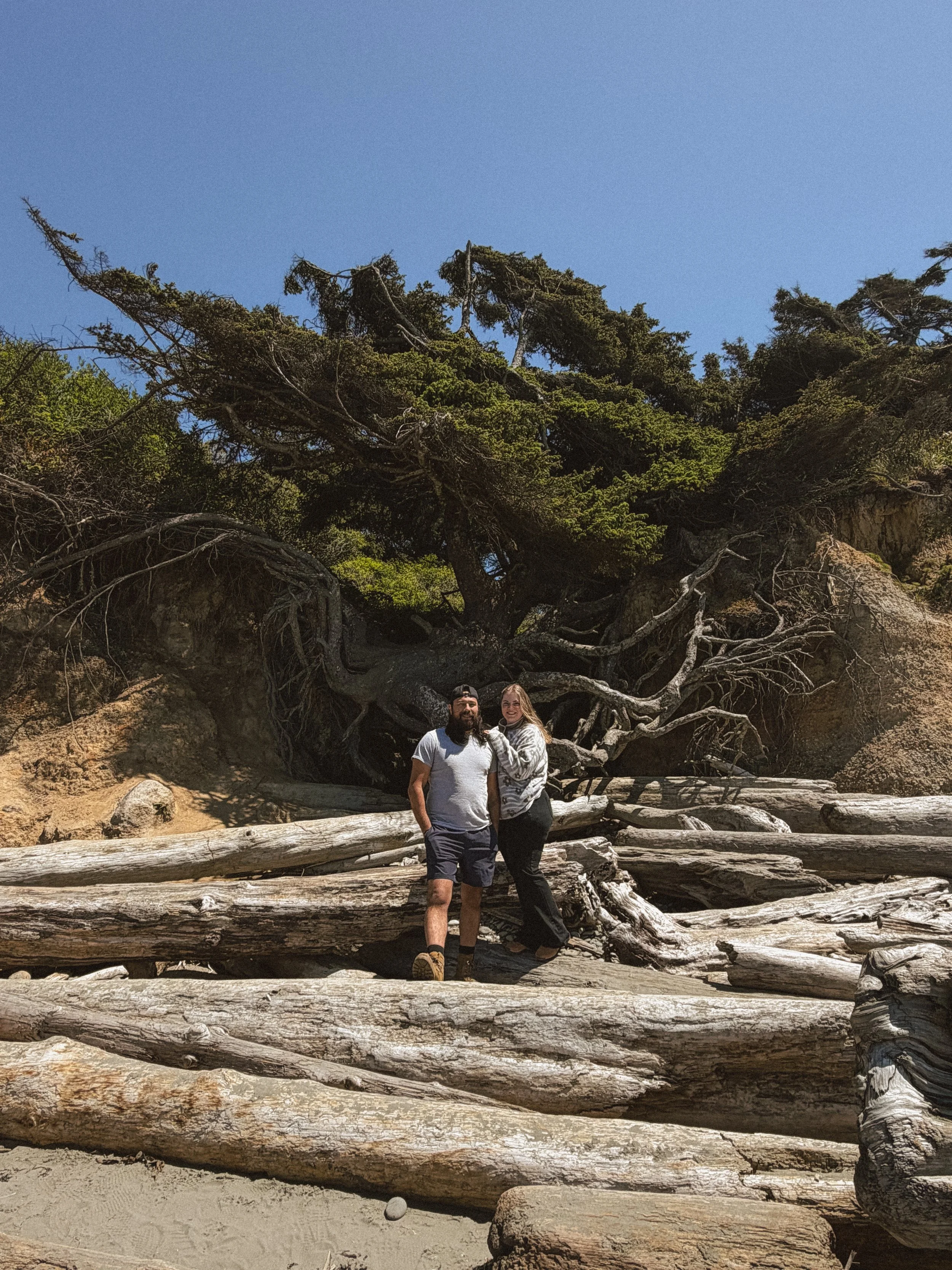 Two people standing on a beach with large driftwood logs, green trees, and a clear blue sky in the background.
