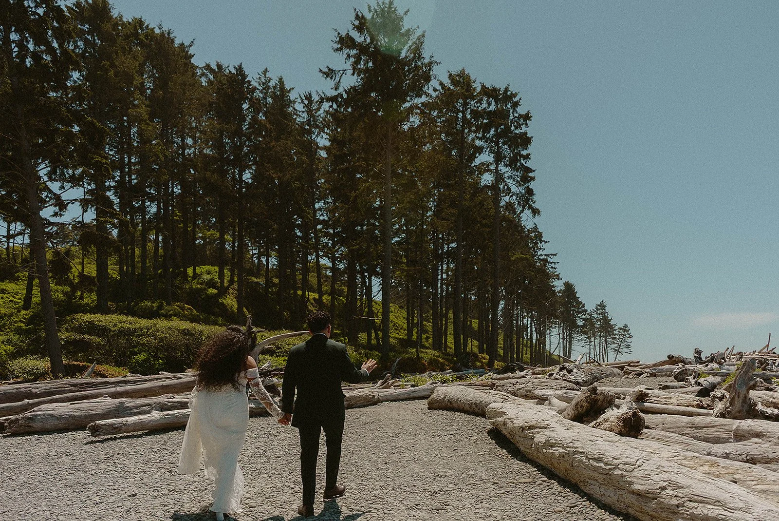 A couple dressed in formal wedding attire walking hand in hand on a beach with driftwood logs and tall trees in the background.