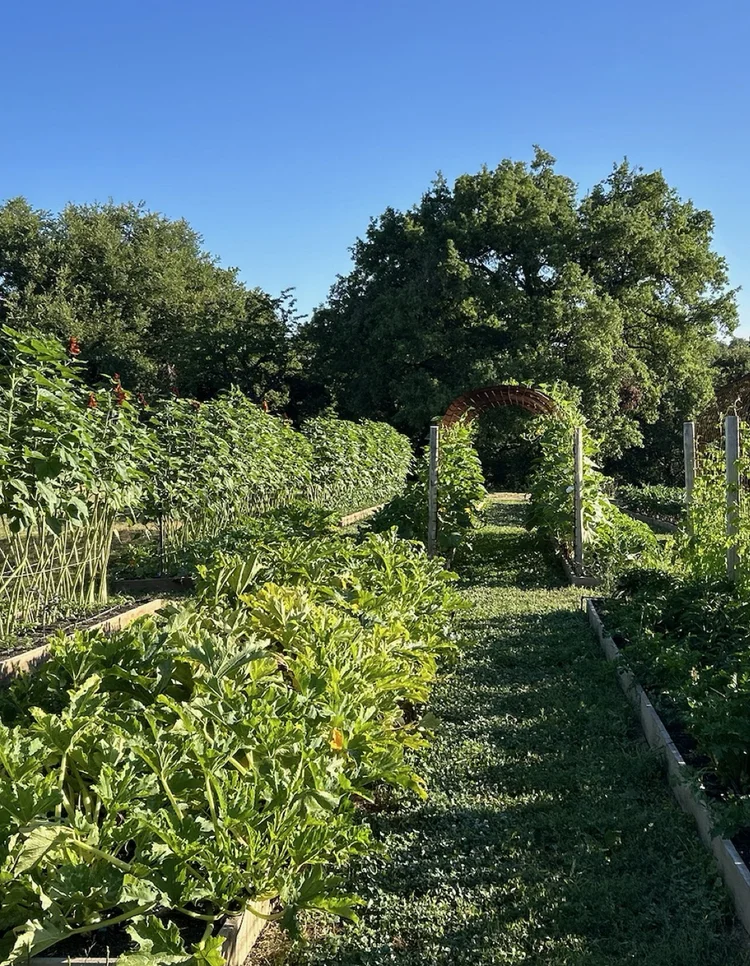 Description of image