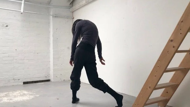 movement direction, choreography, coaching, creativity, physical transformation, physical literacy, visceral body language, storytelling, dramaturgy