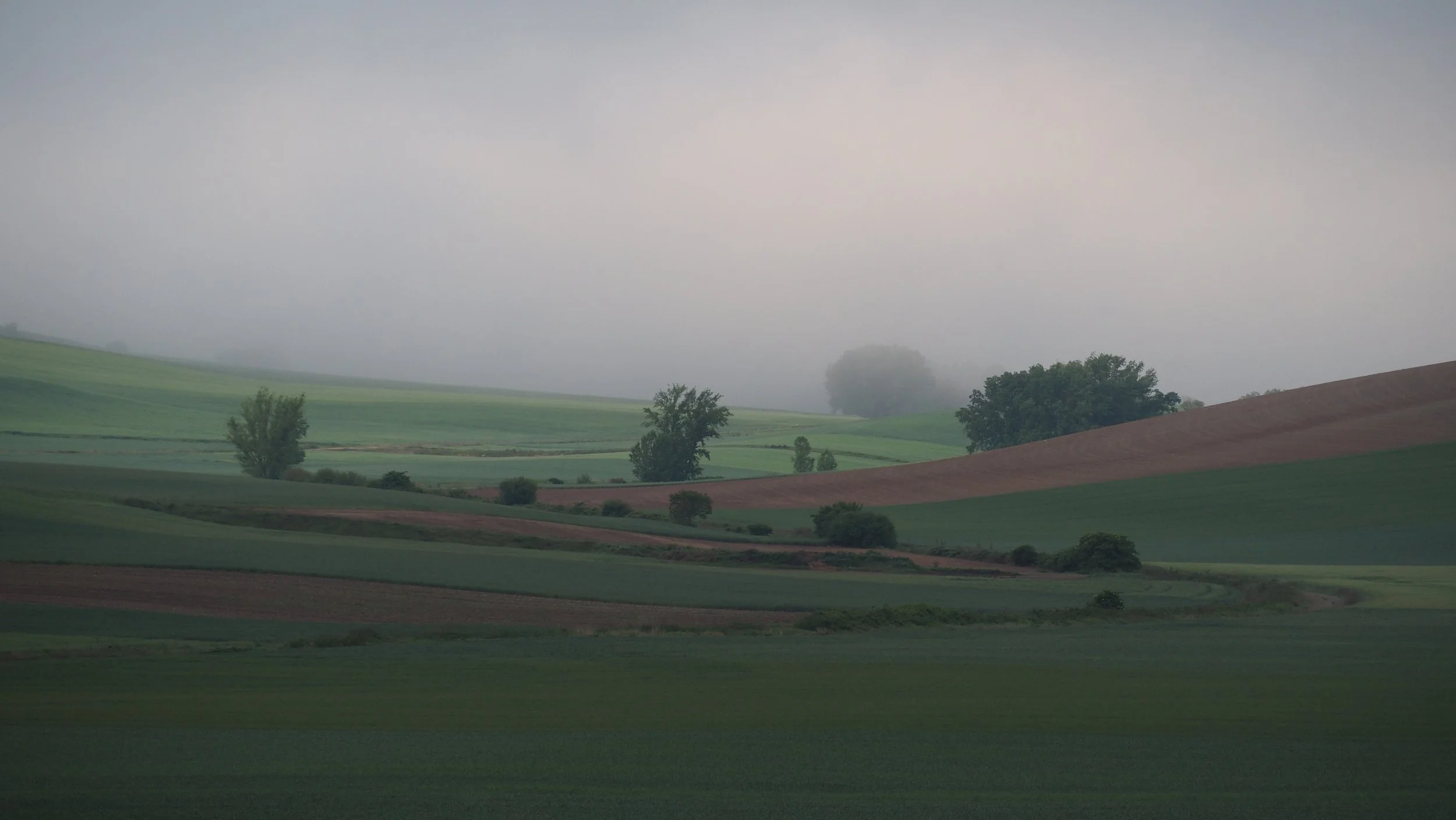 P5080875.JPG