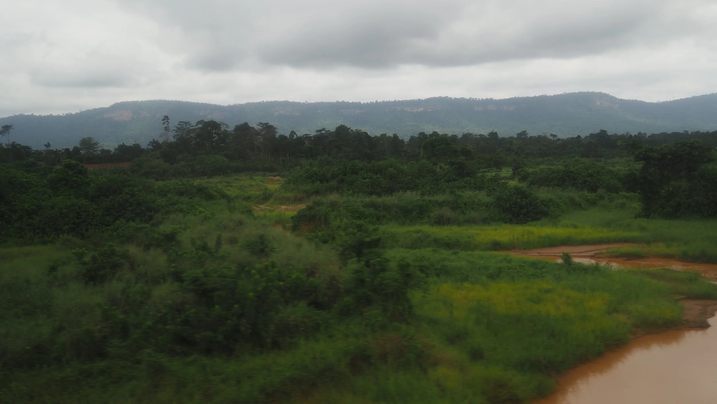 PA110063.JPG