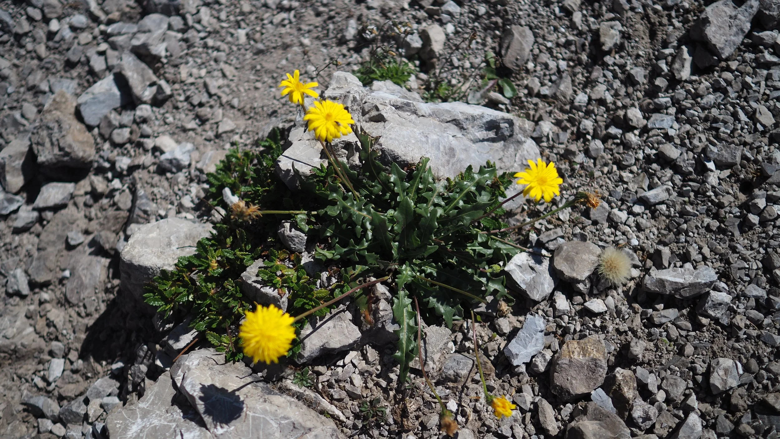 P8140341.JPG