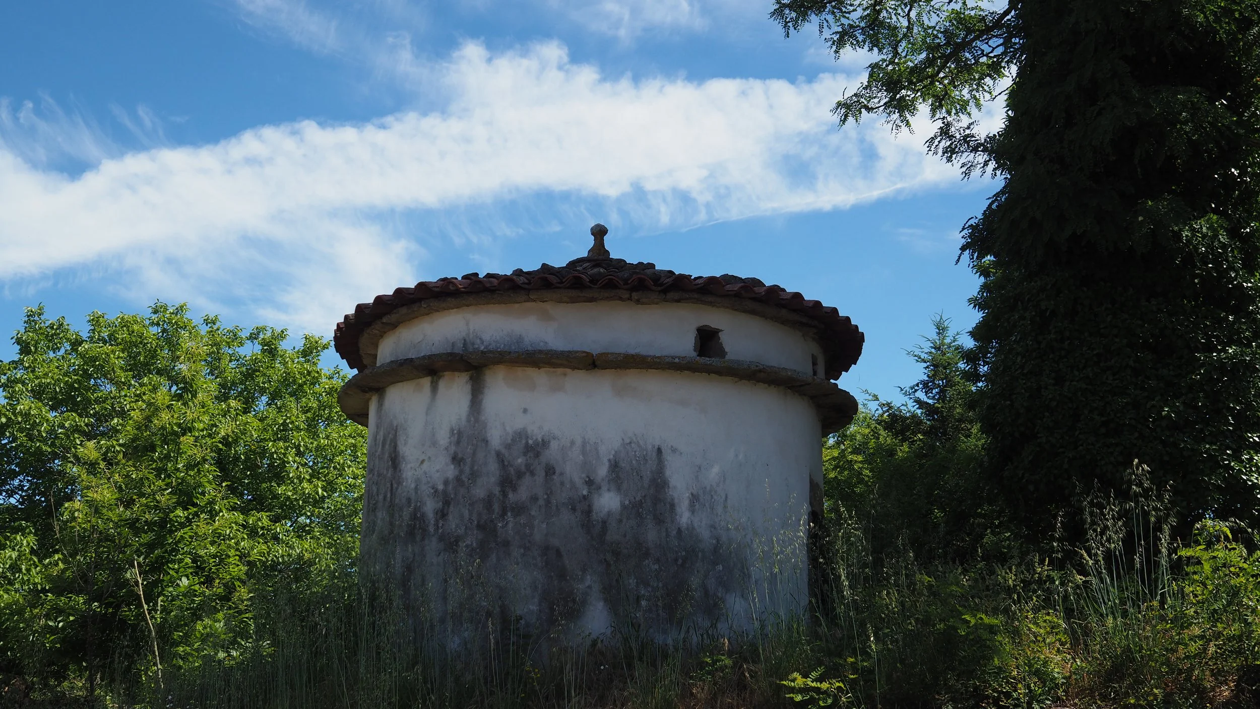 P5310201.JPG