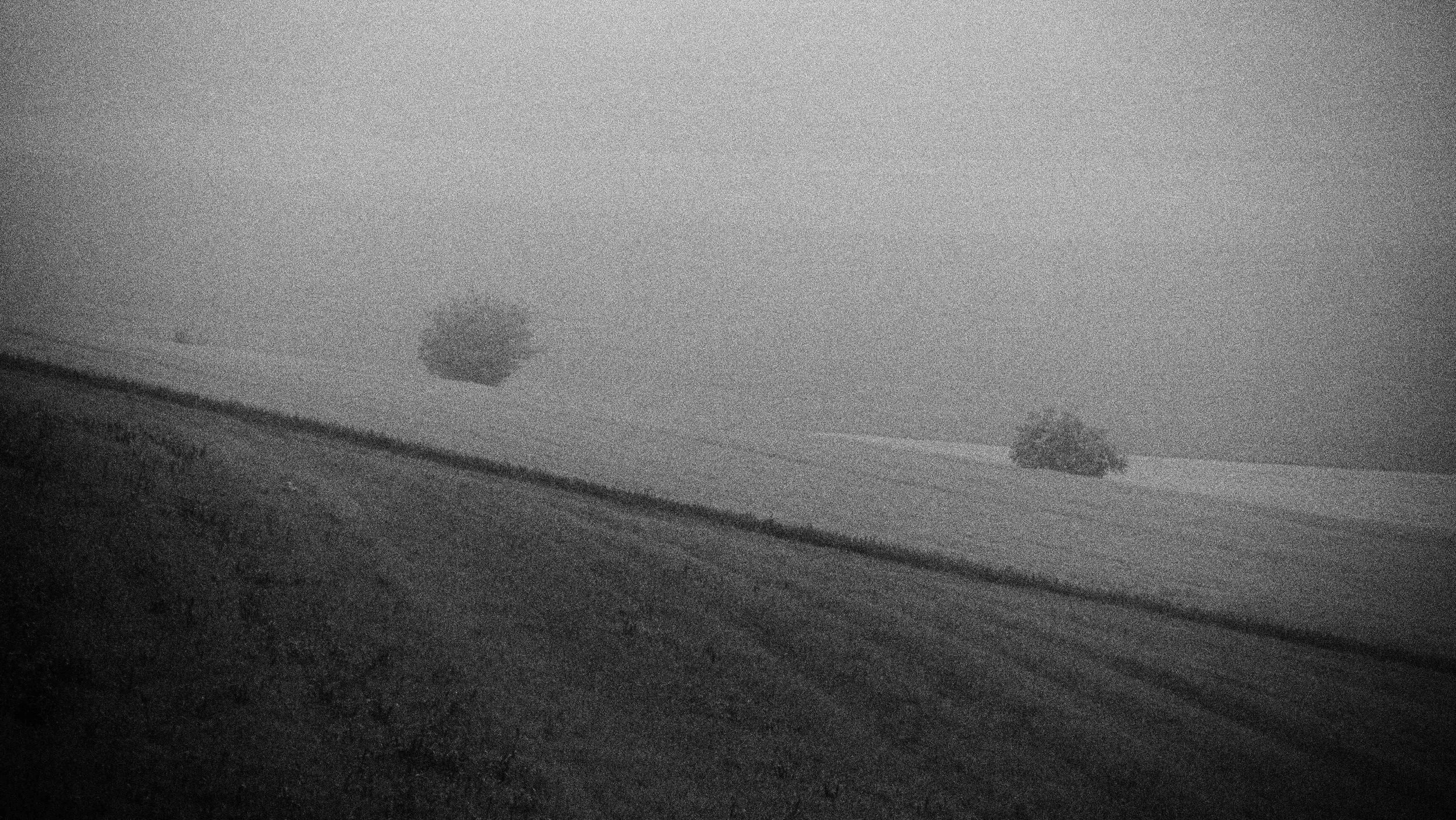 P5080891.JPG