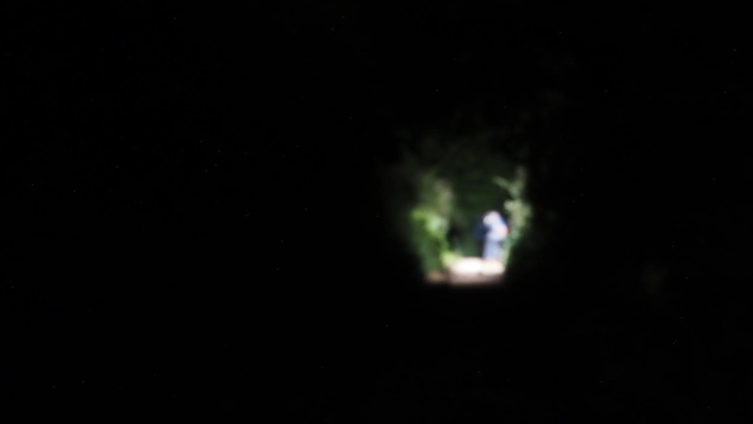 P5290003.JPG