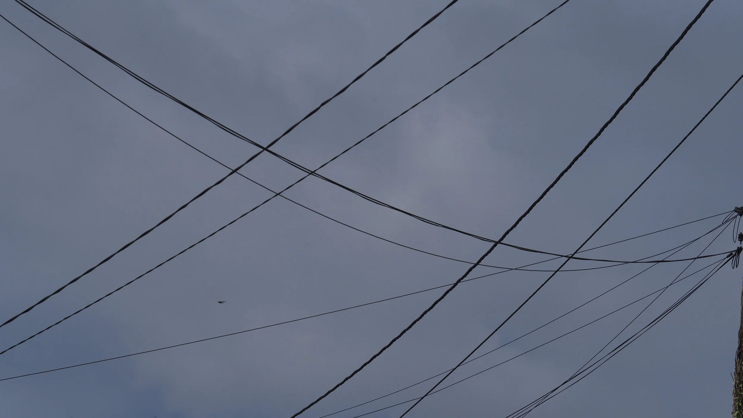 P6020436.JPG