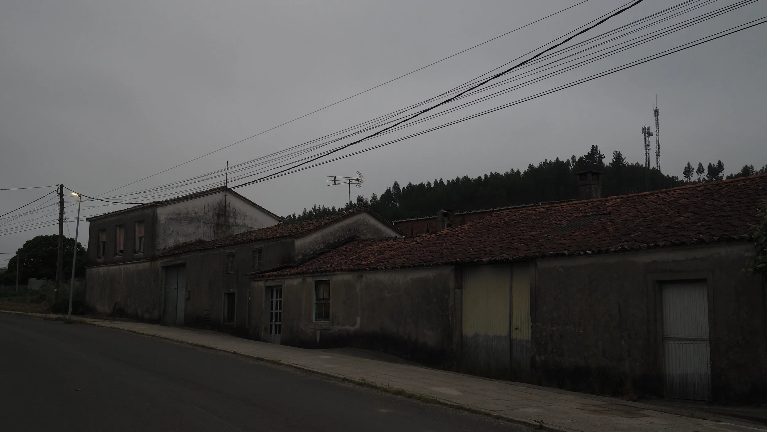 P5290023.JPG