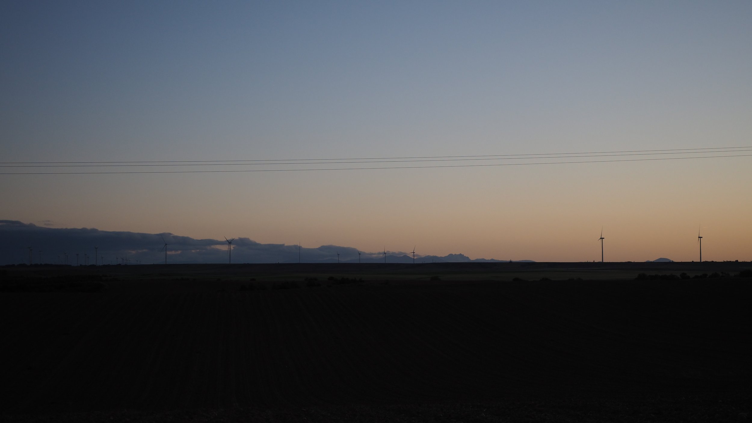 P5161932.JPG