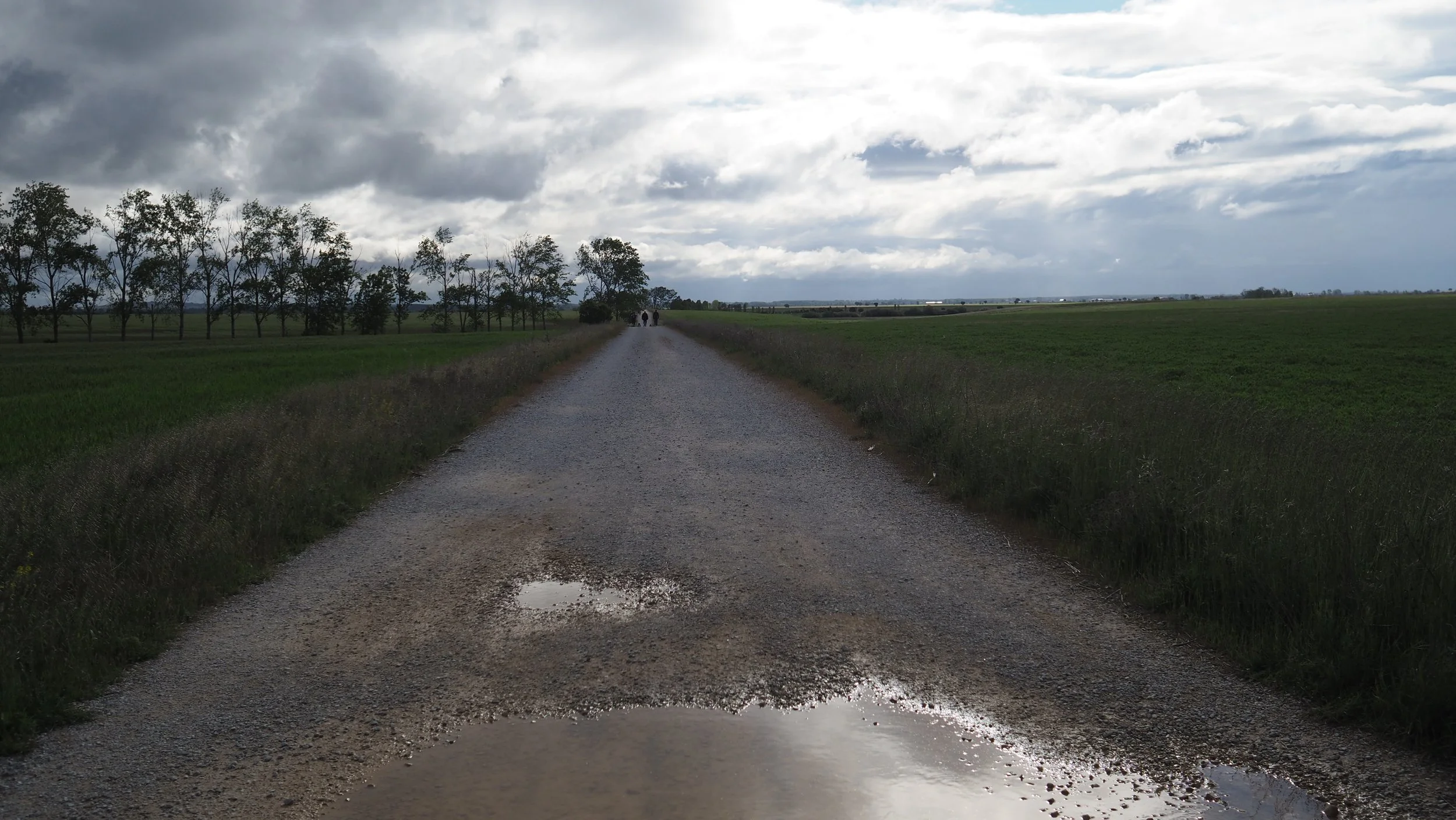 P5151866.JPG