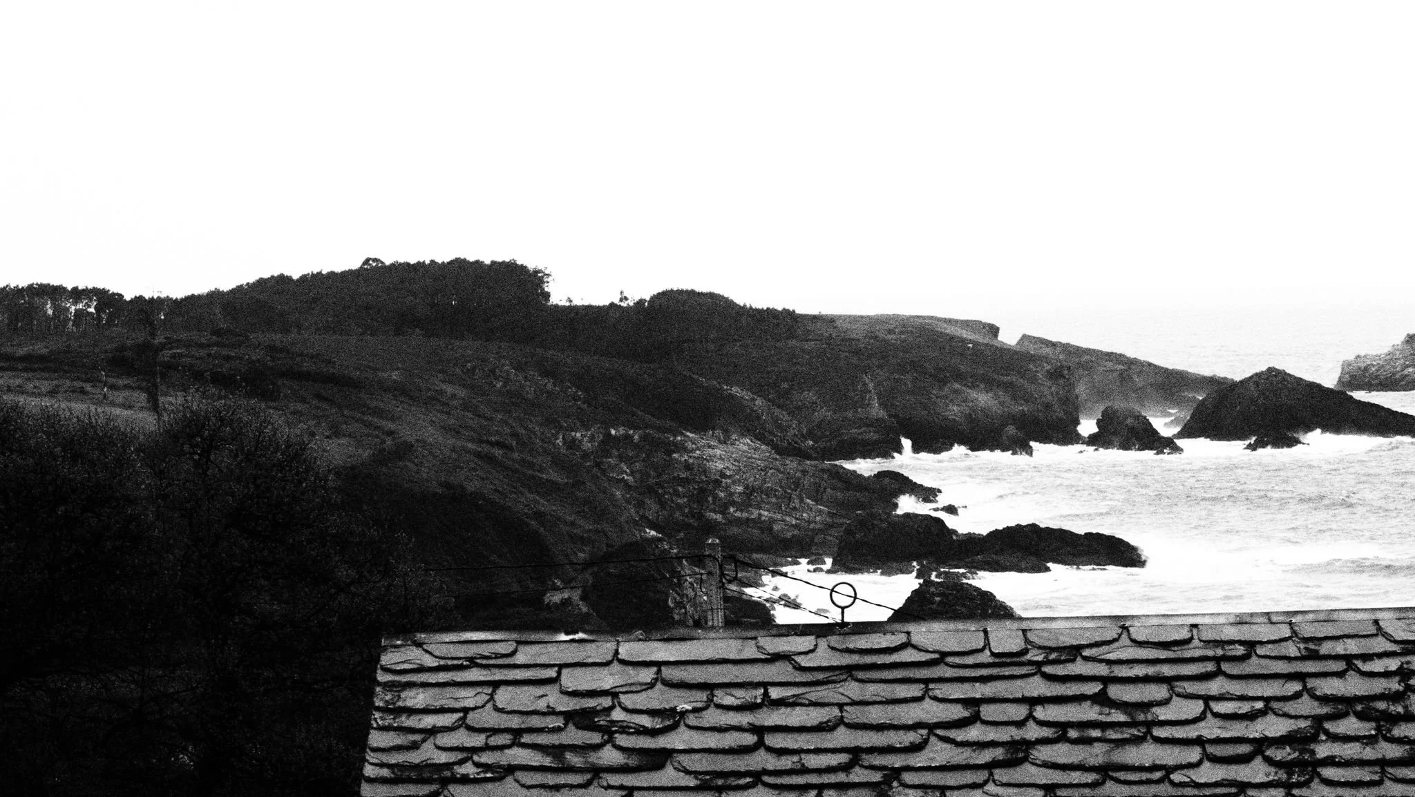 WhatsApp Image 2026-03-28 at 17.25.28.jpeg