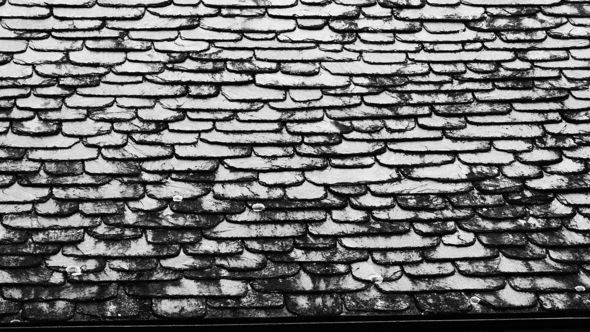 WhatsApp Image 2026-03-28 at 17.25.31.jpeg