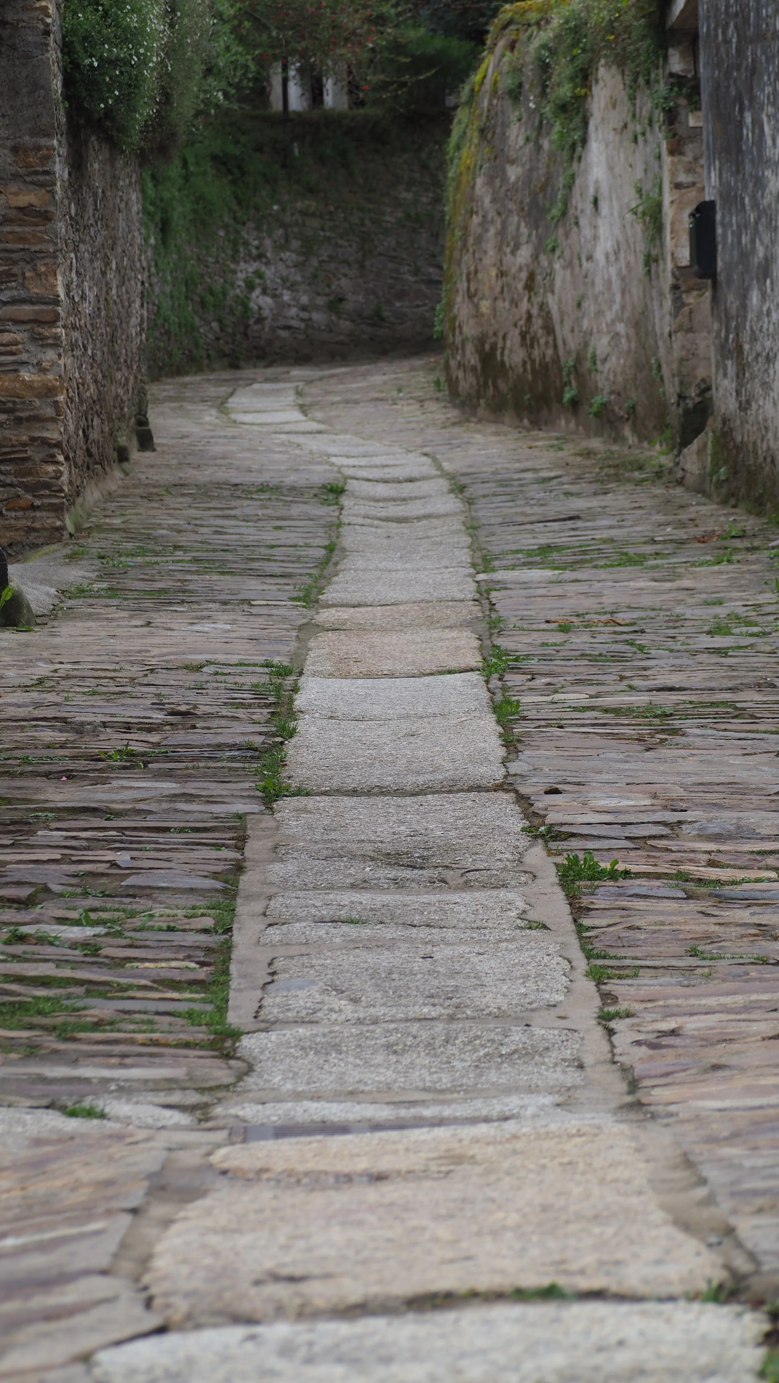 out of the mist and drizzle, over the hills