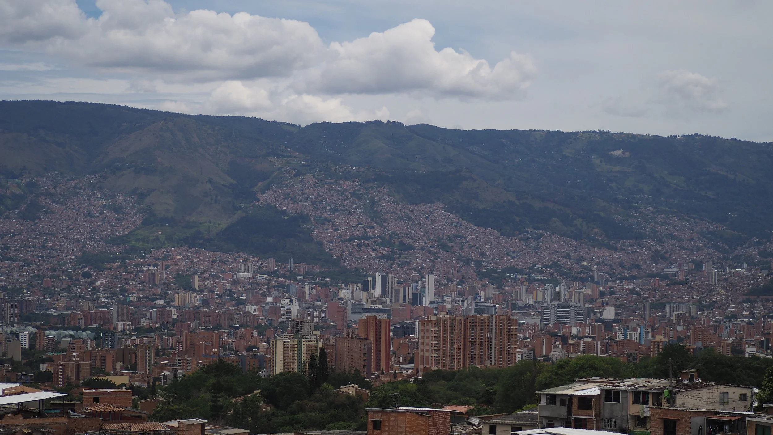 P9150093.JPG