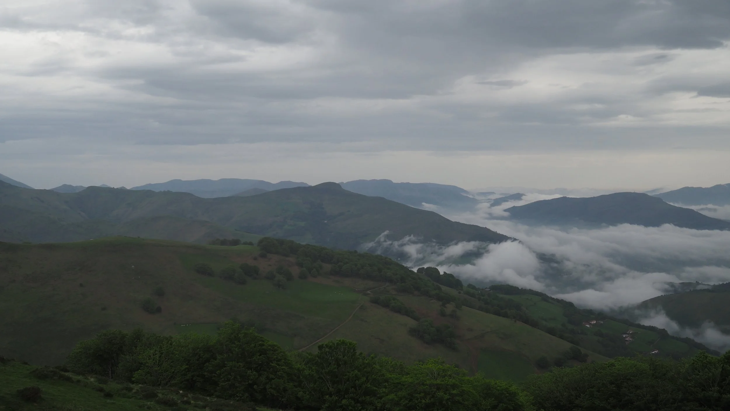 P4290014.JPG