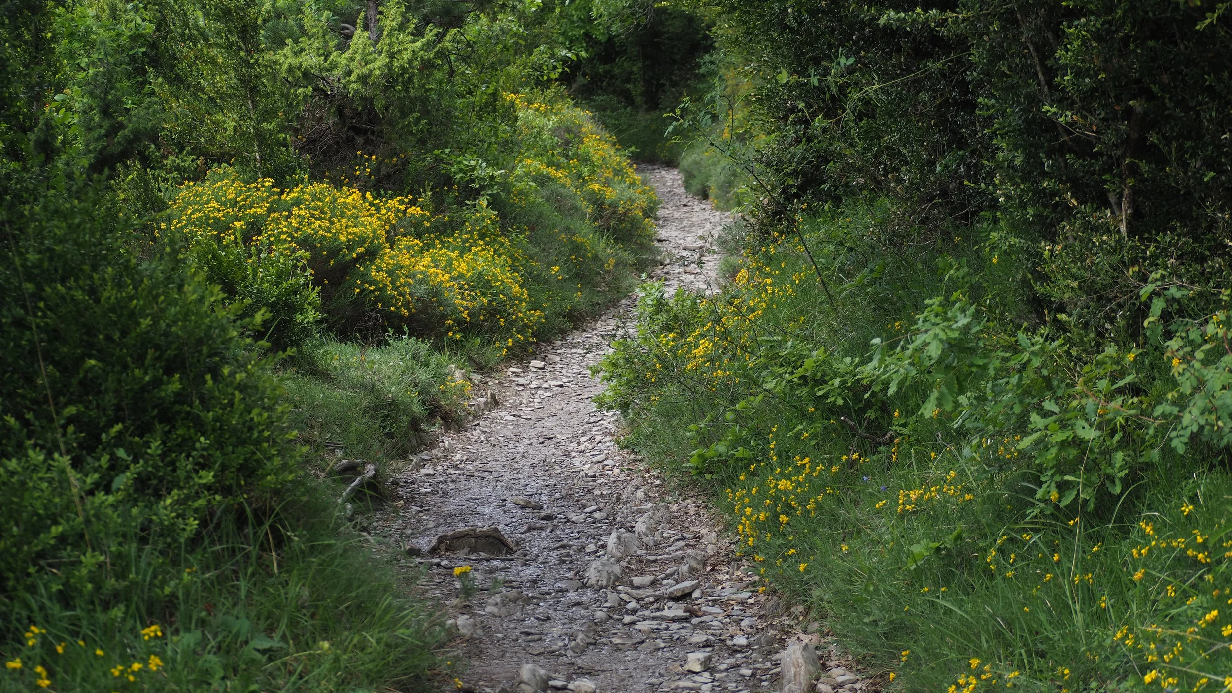 P4300121.JPG