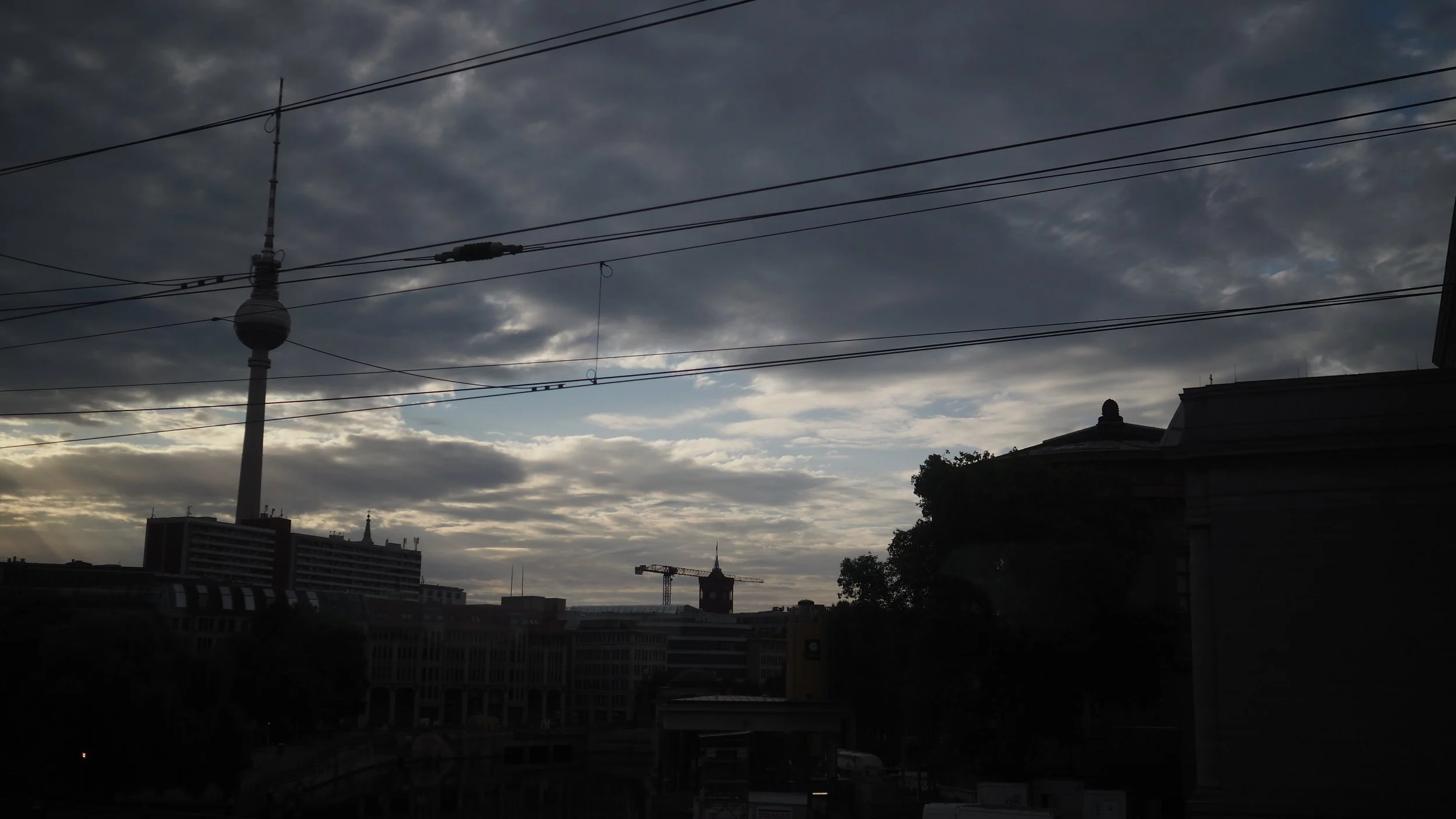 P8100021.JPG