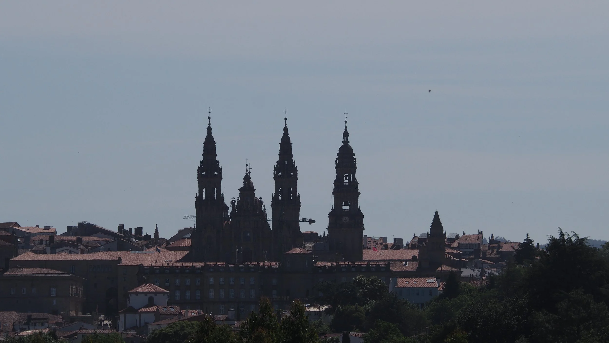 P6070050.JPG