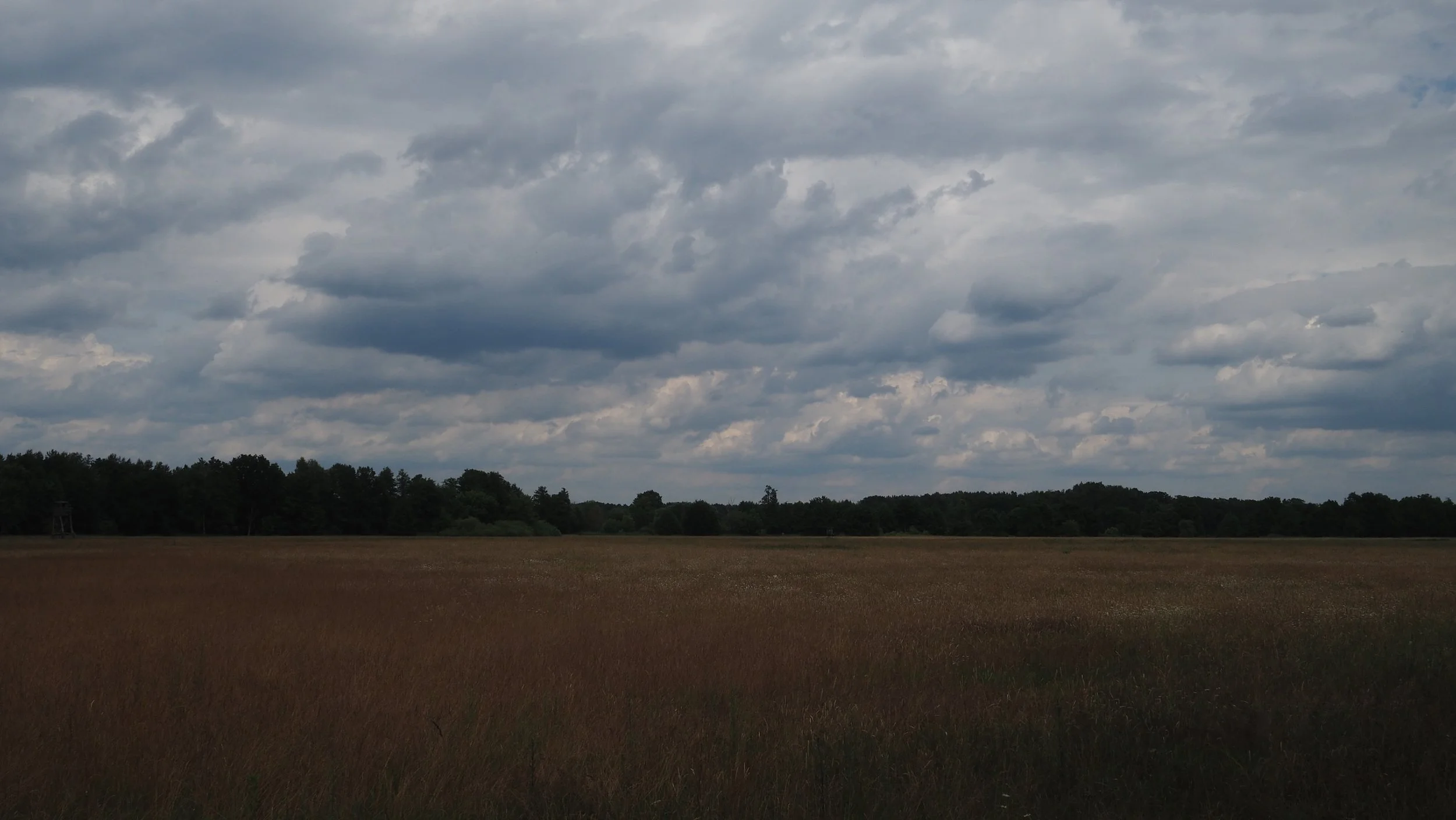 P6180001.JPG