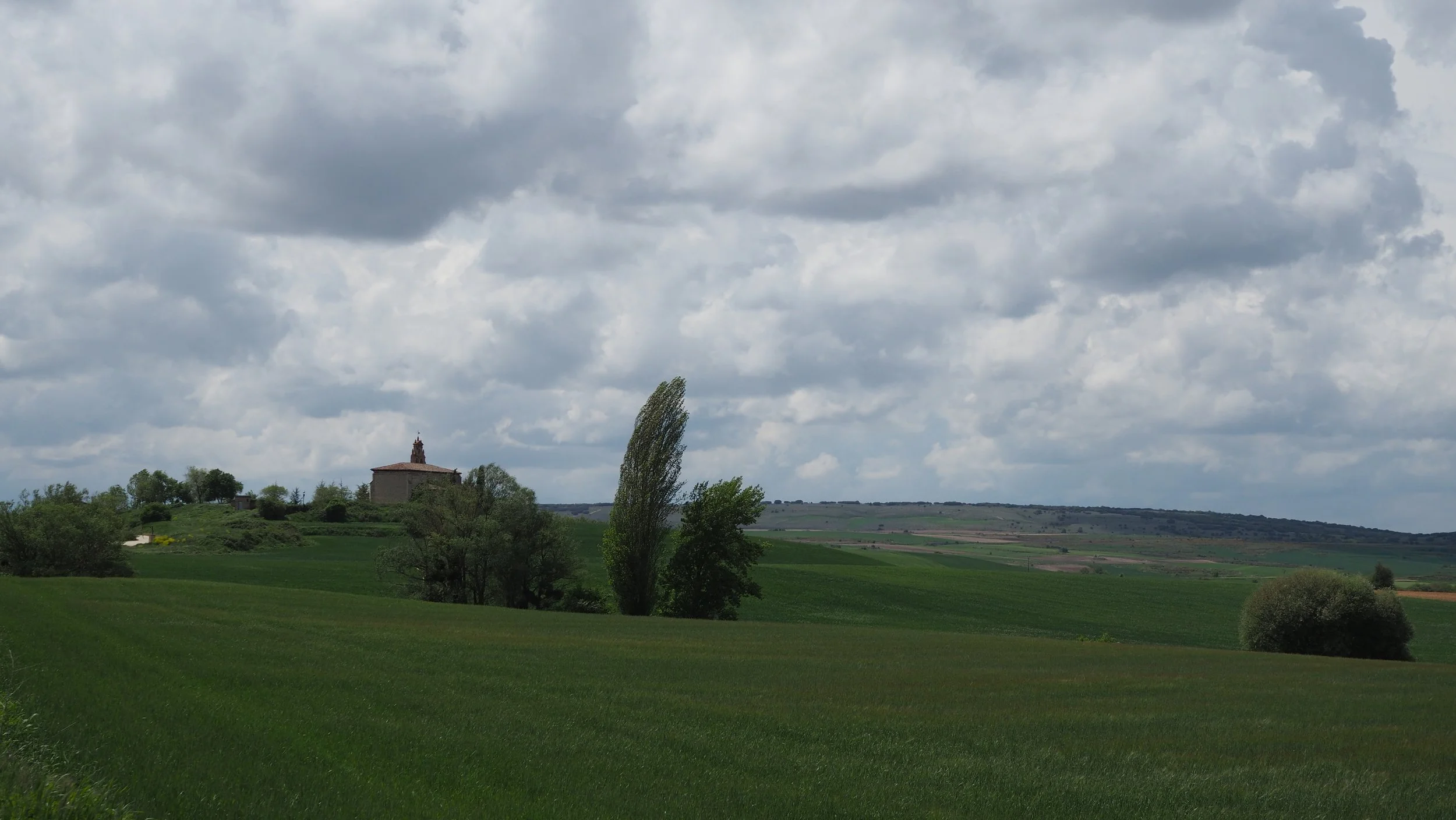 P5091029.JPG