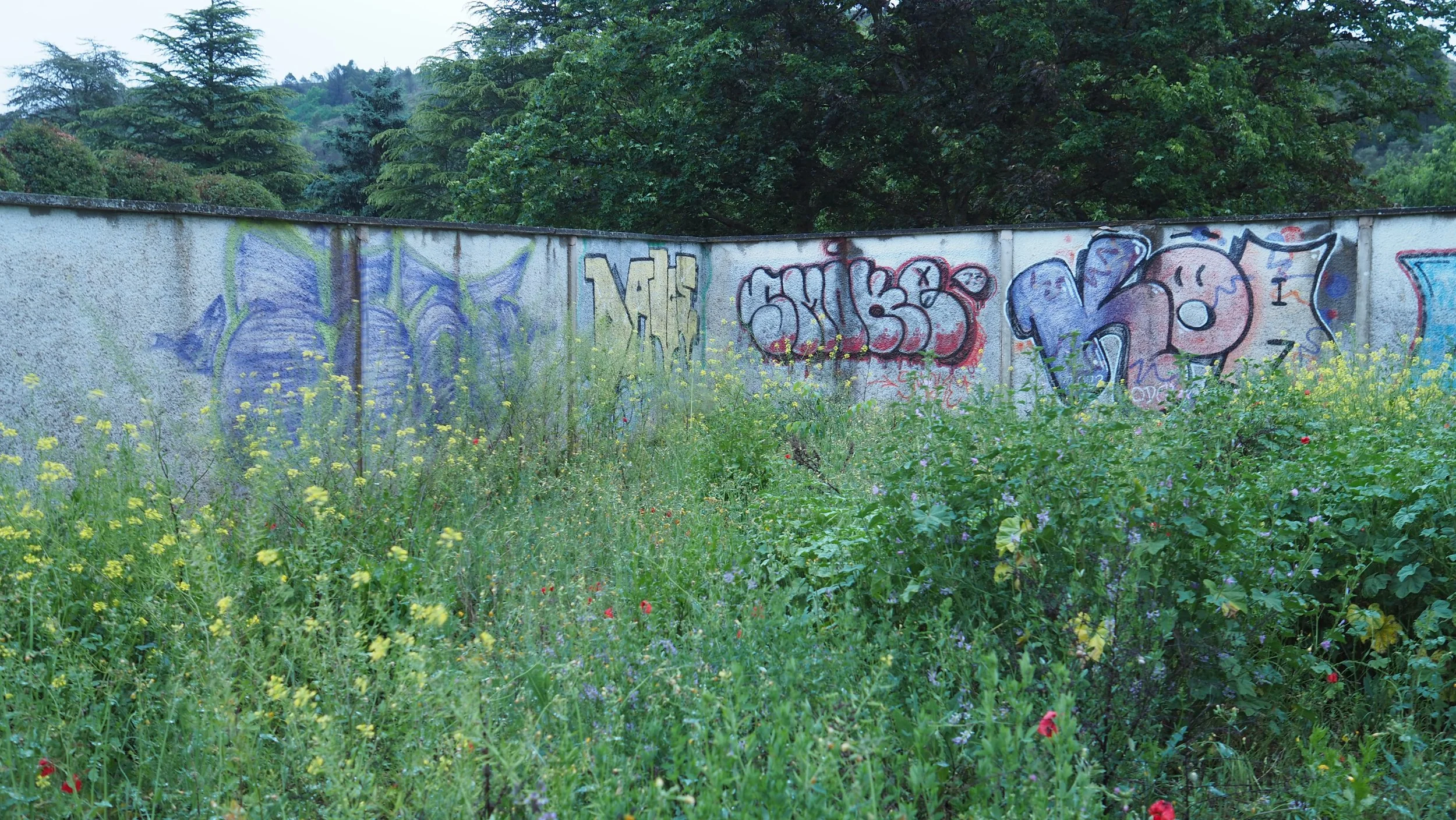 P5030290.JPG