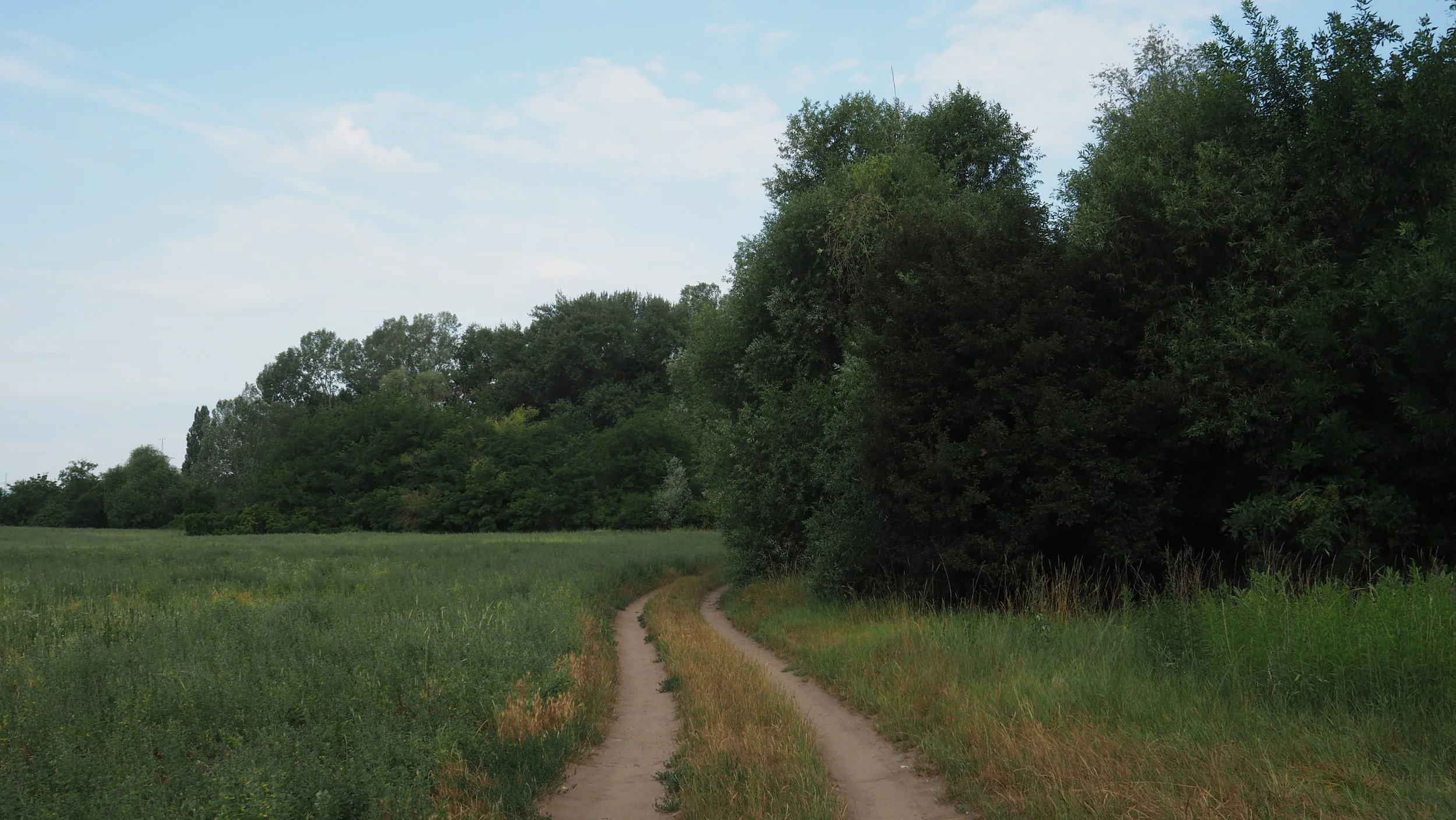 P7020014.JPG