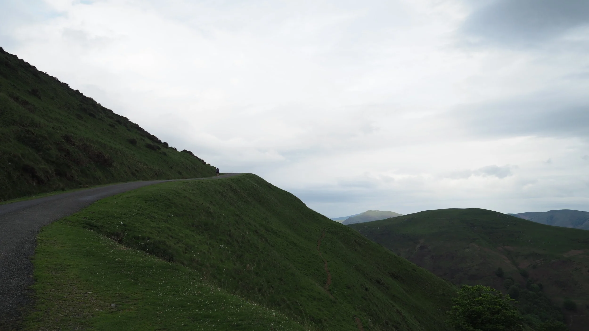 P4290015.JPG