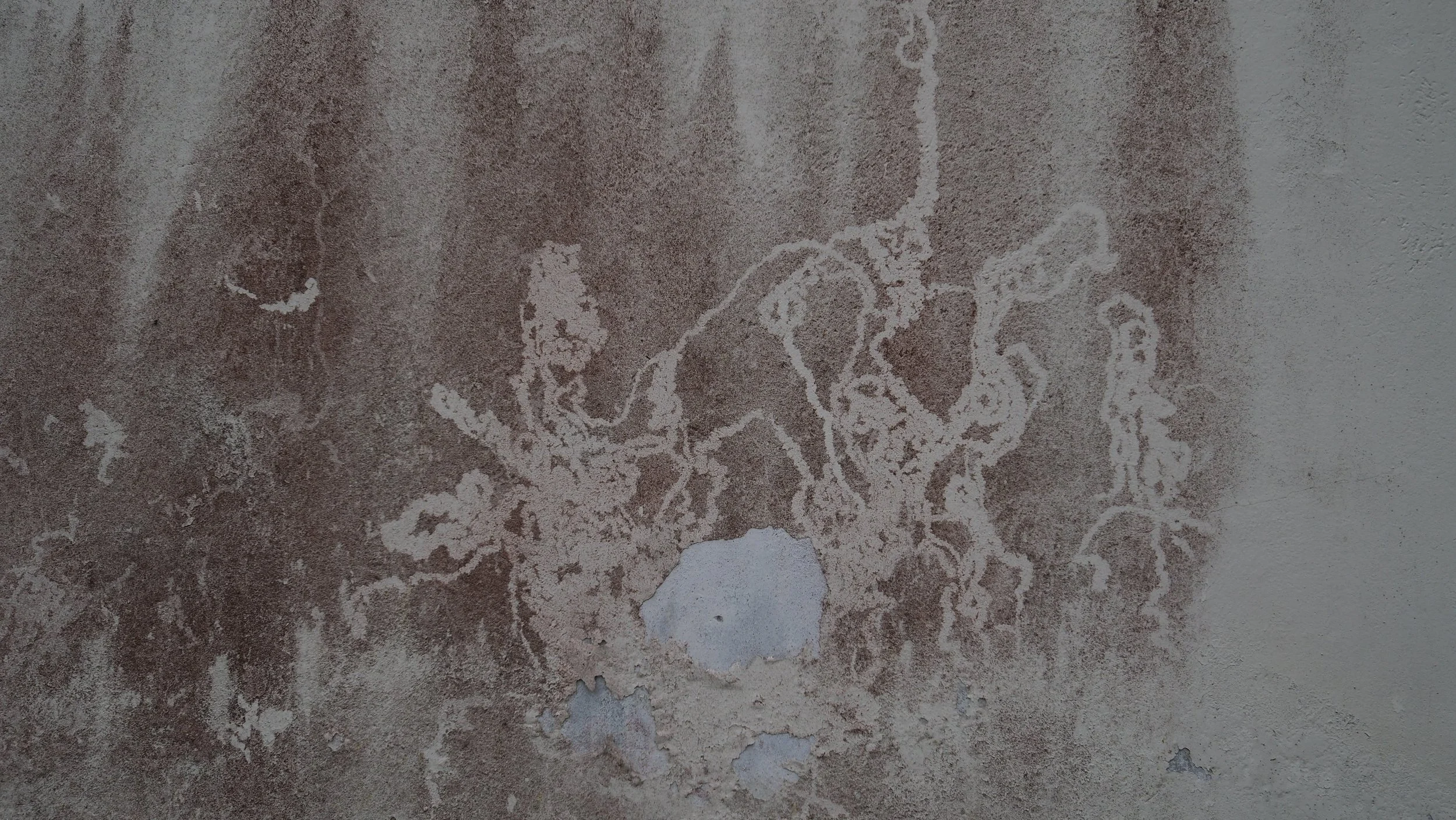 P5300043.JPG