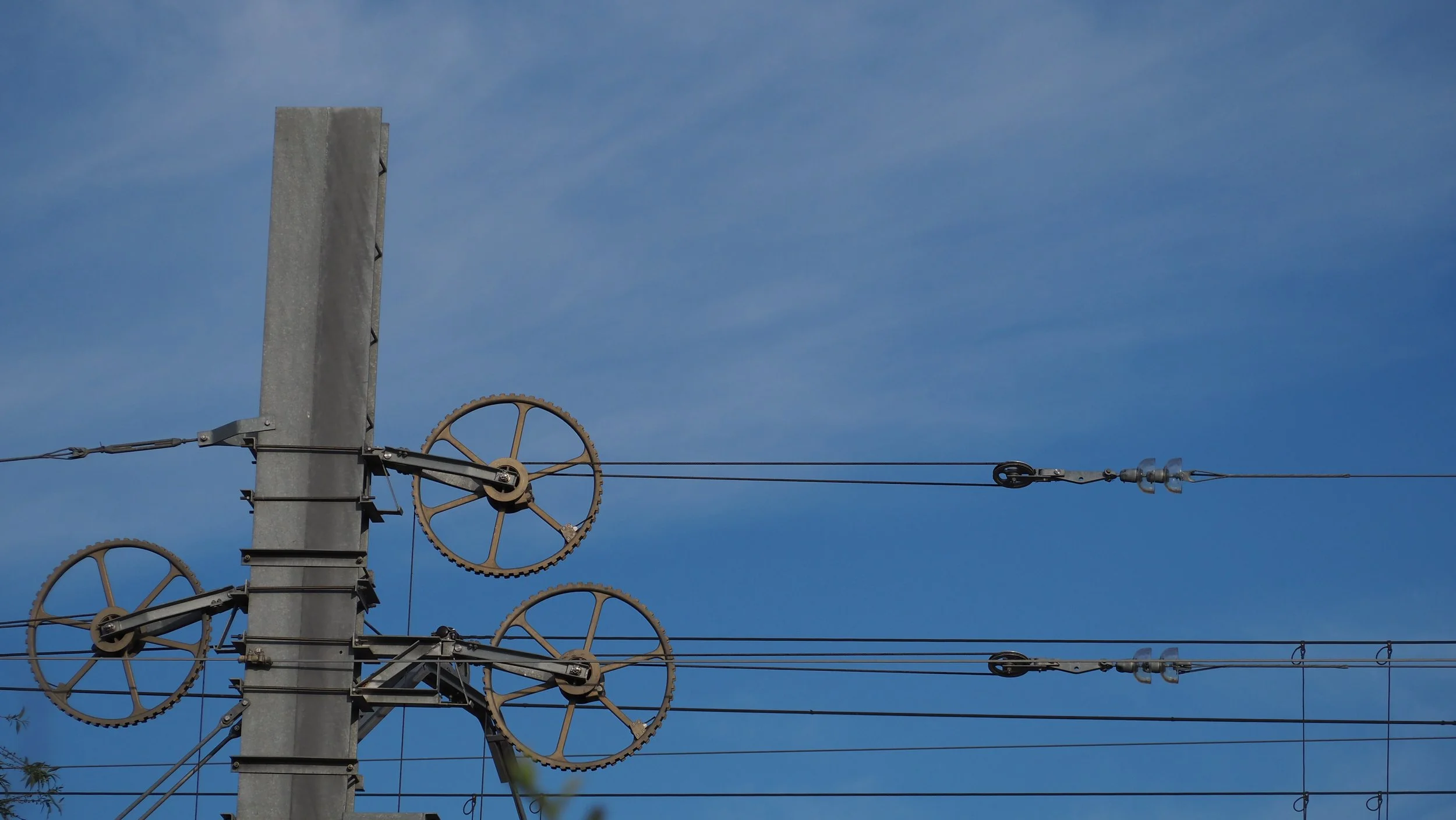 P5141732.JPG