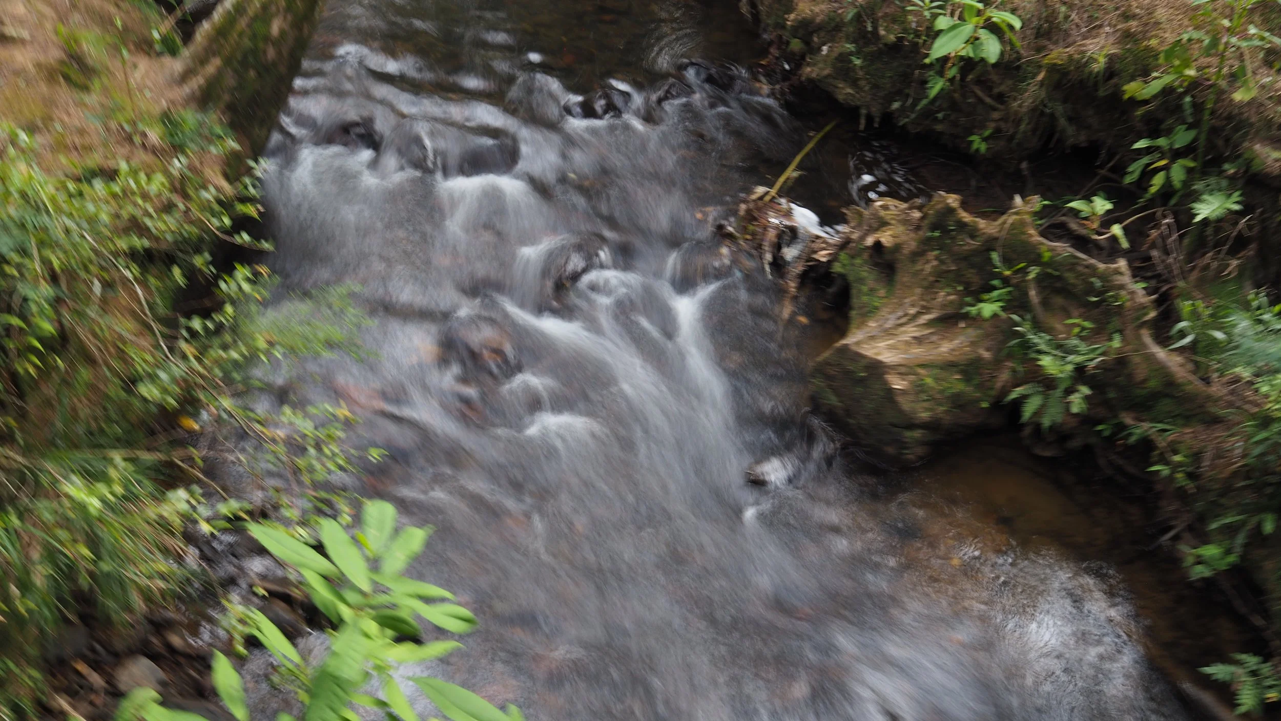 P9100117.JPG