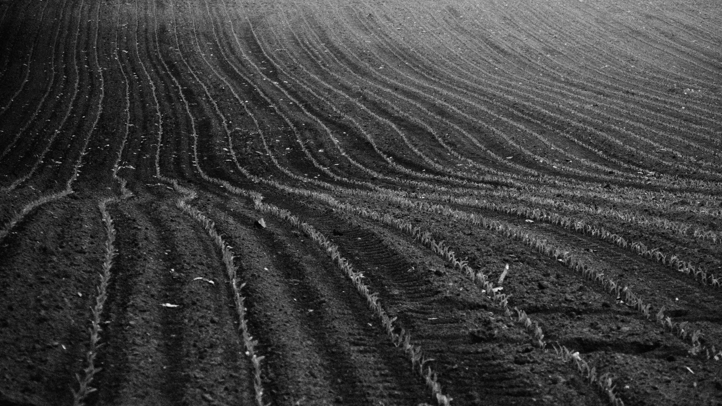 P5290041.JPG