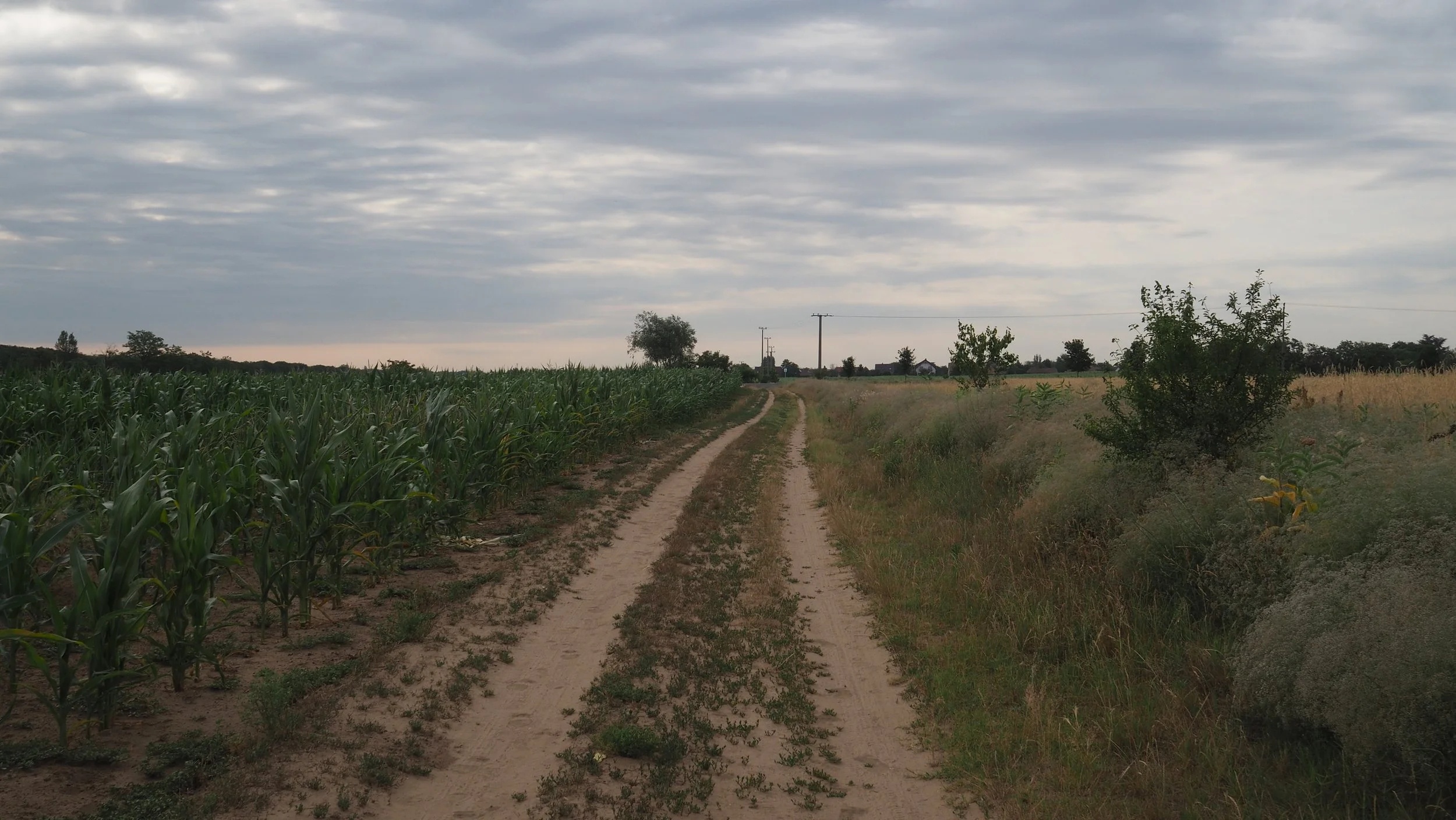 P7020010.JPG