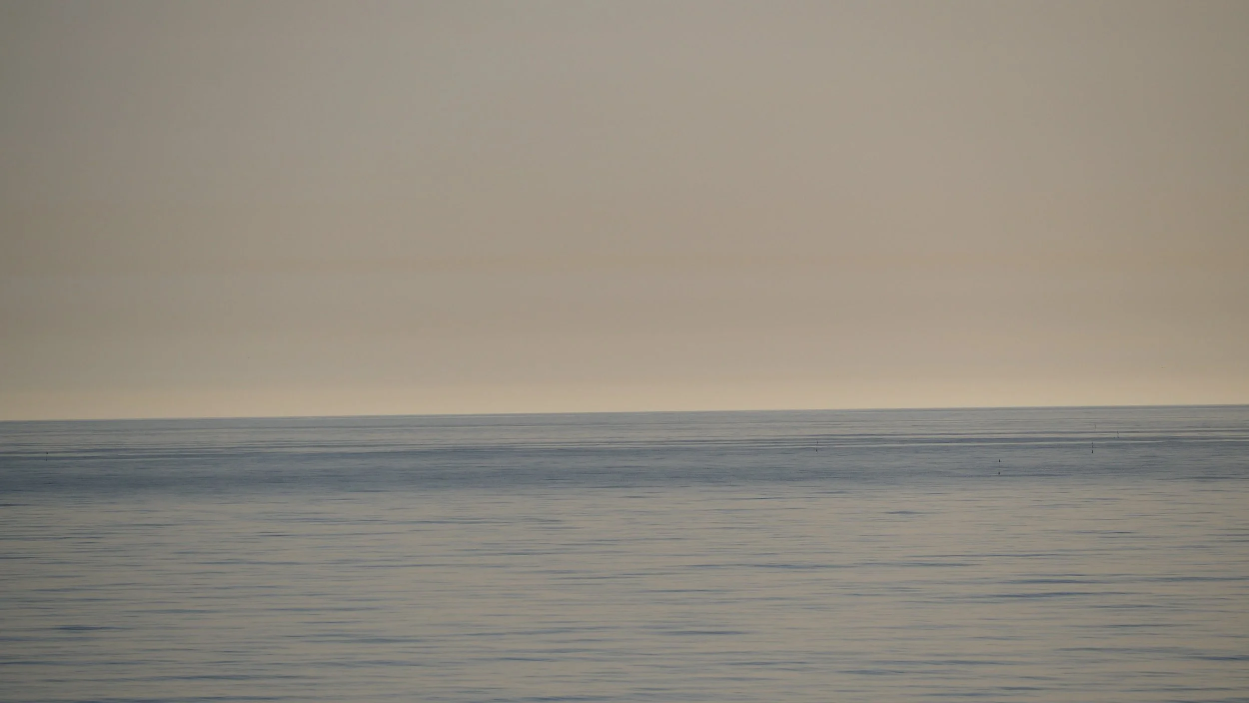 P7100129.JPG