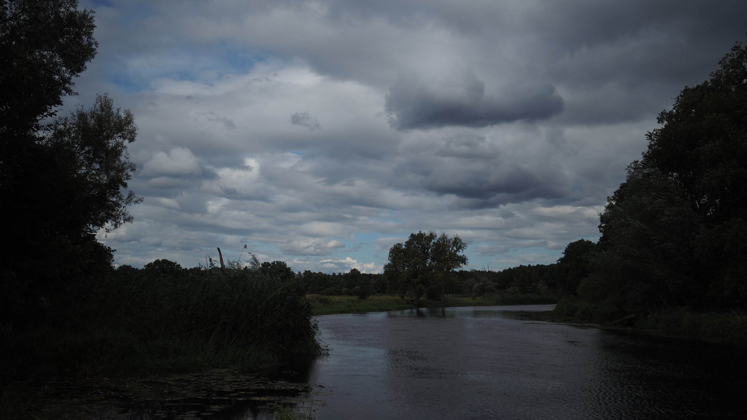 P8300002.JPG