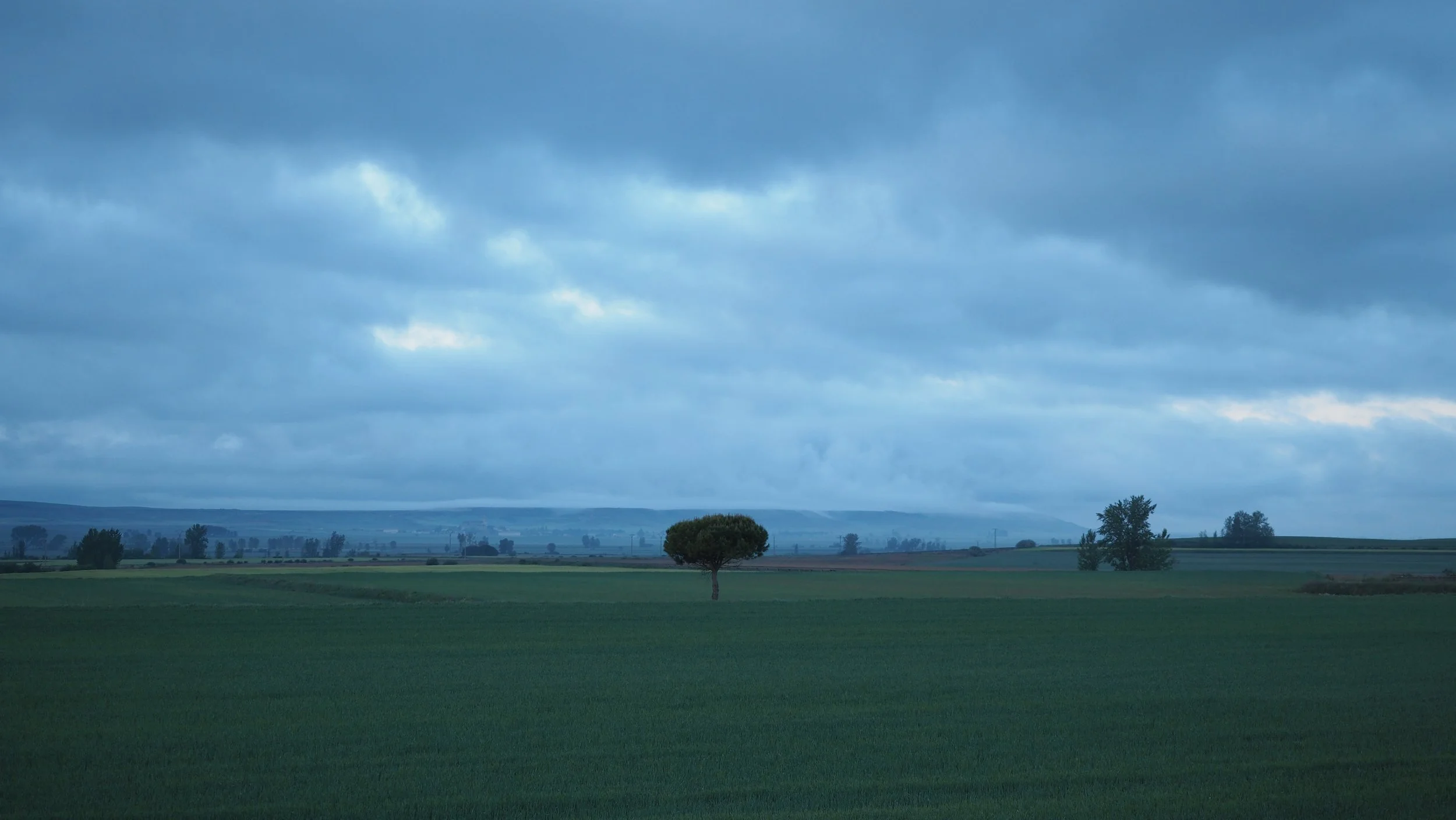 P5141674.JPG