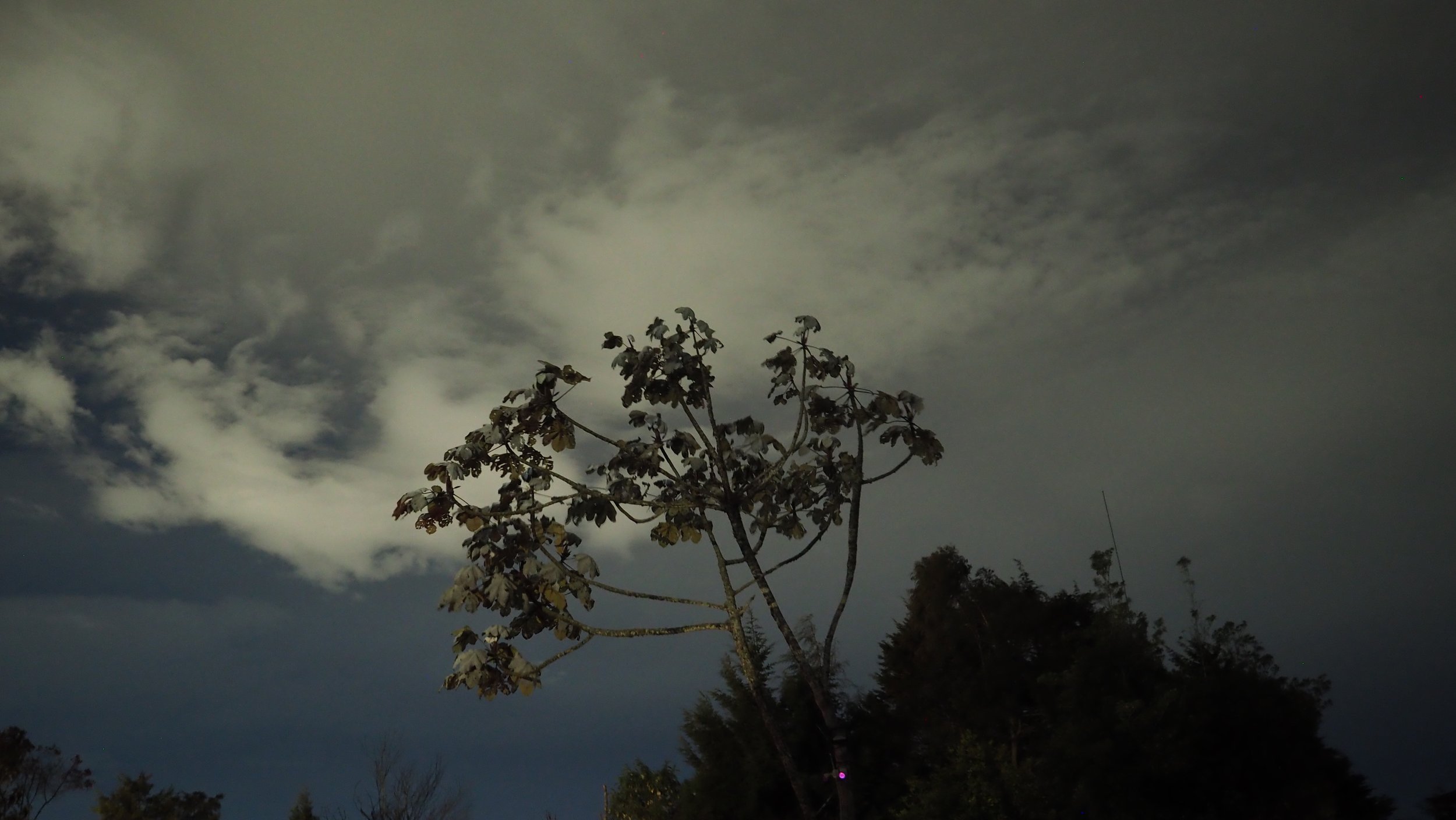 P9140014.JPG