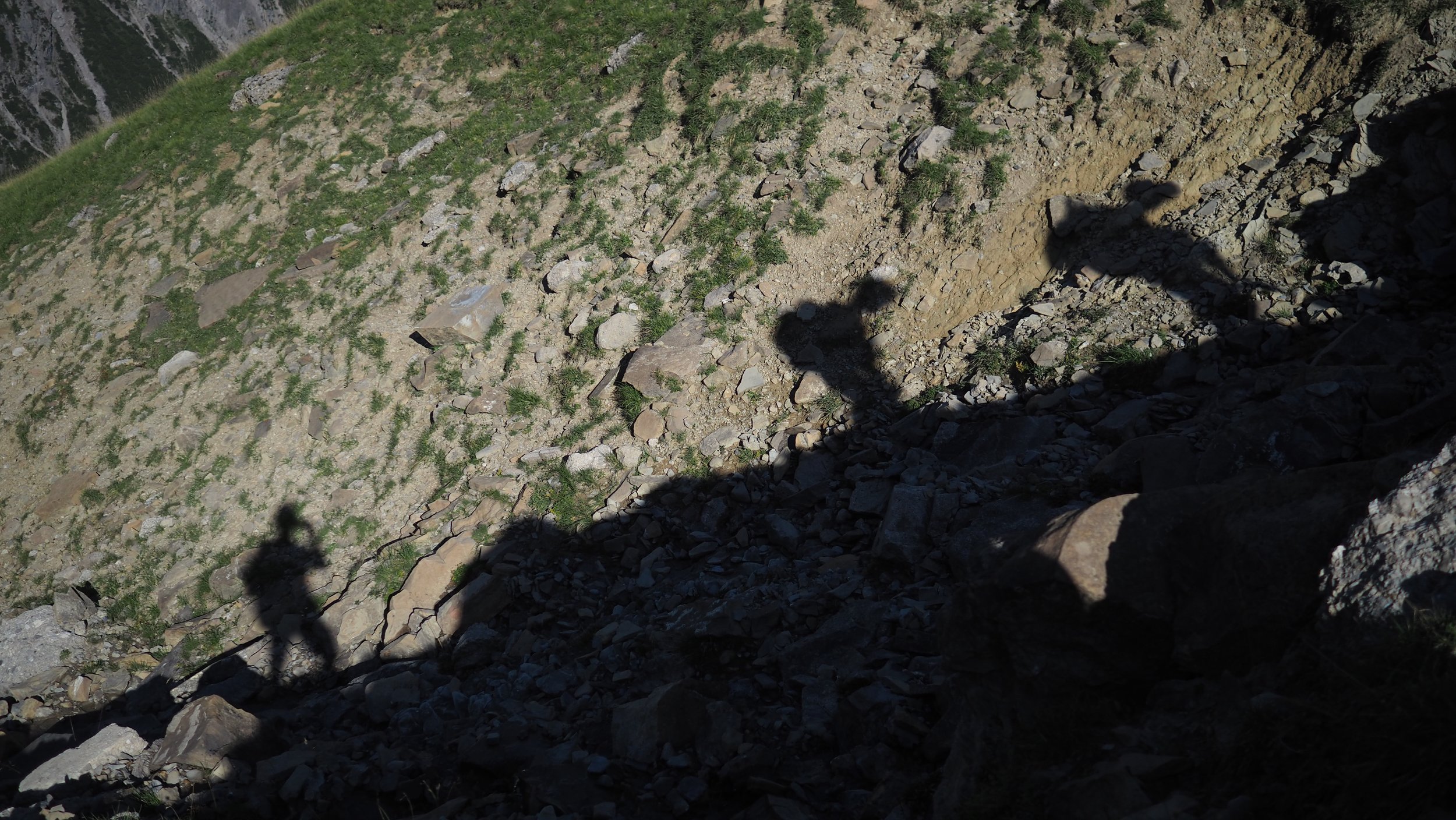 P8150421.JPG