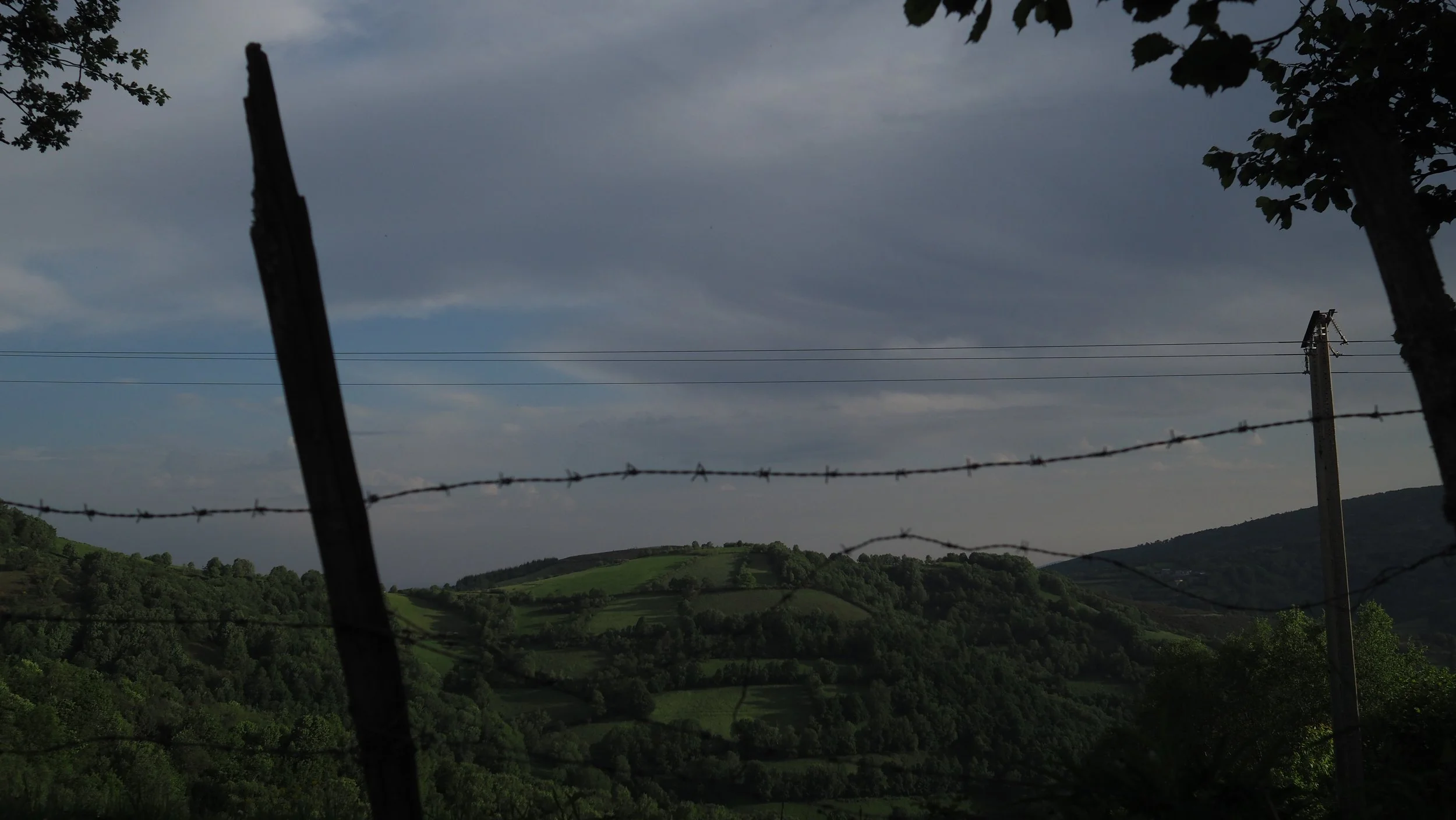 P5250046.JPG