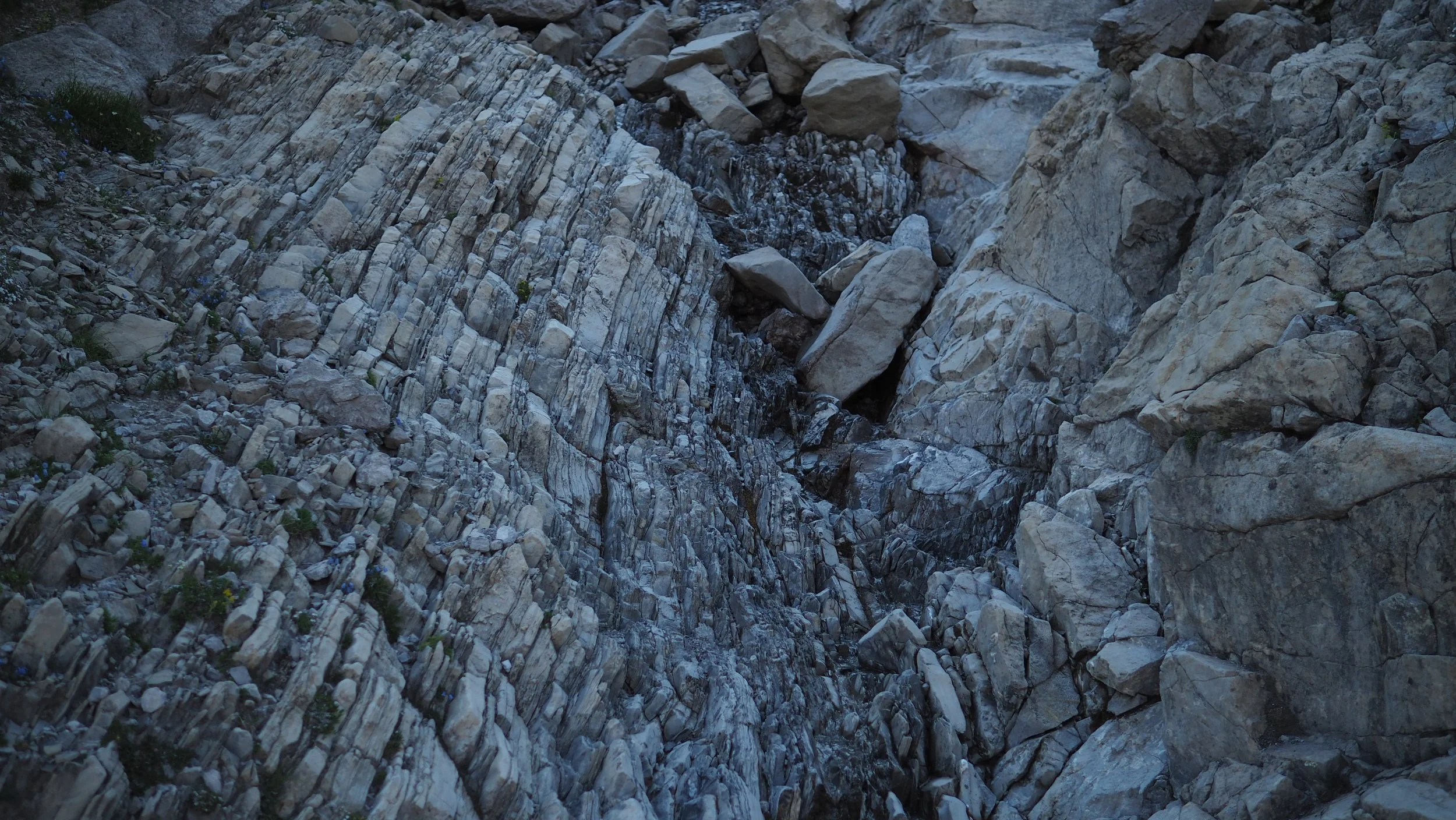 P8150416.JPG