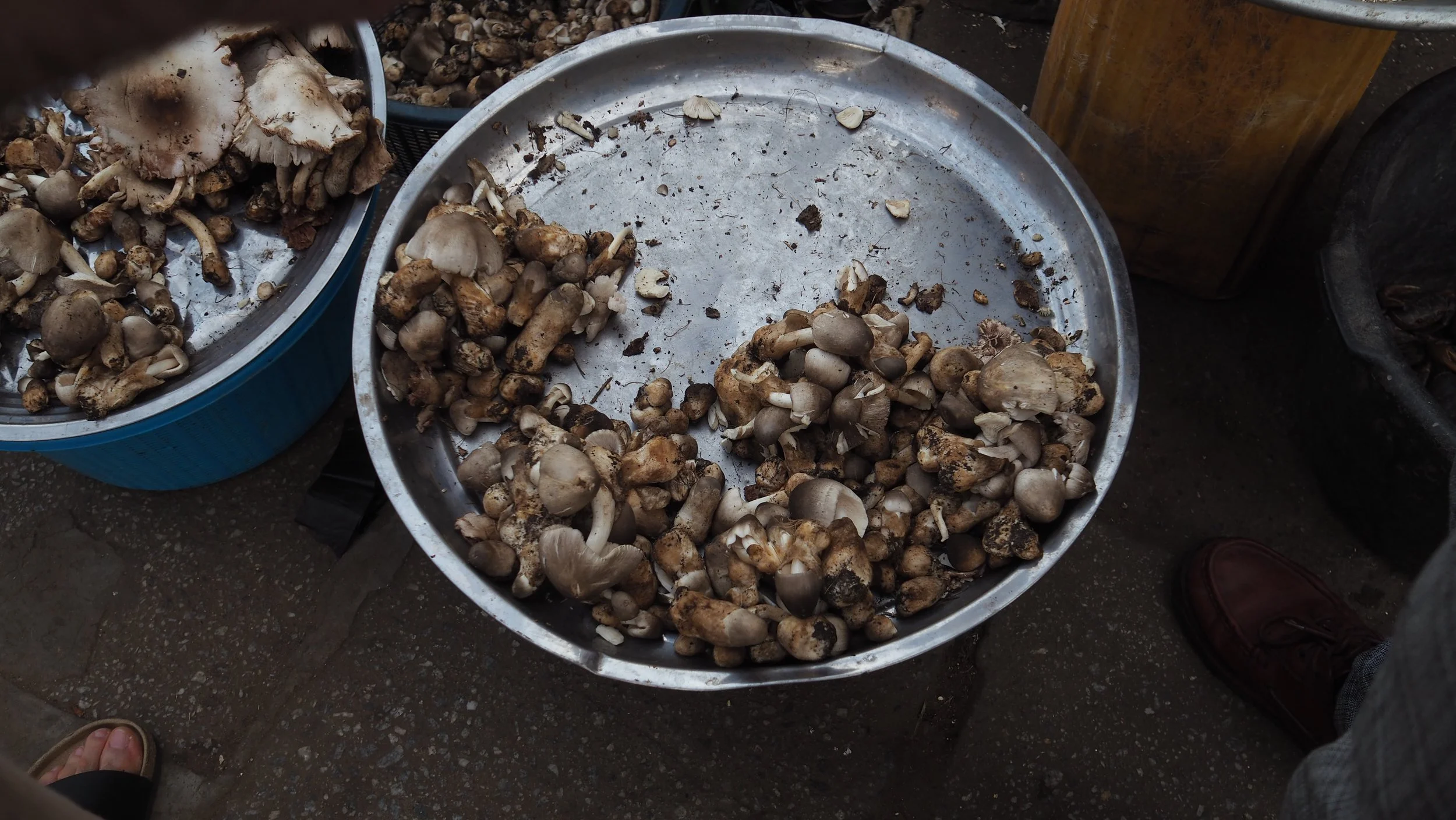 PA120224.JPG