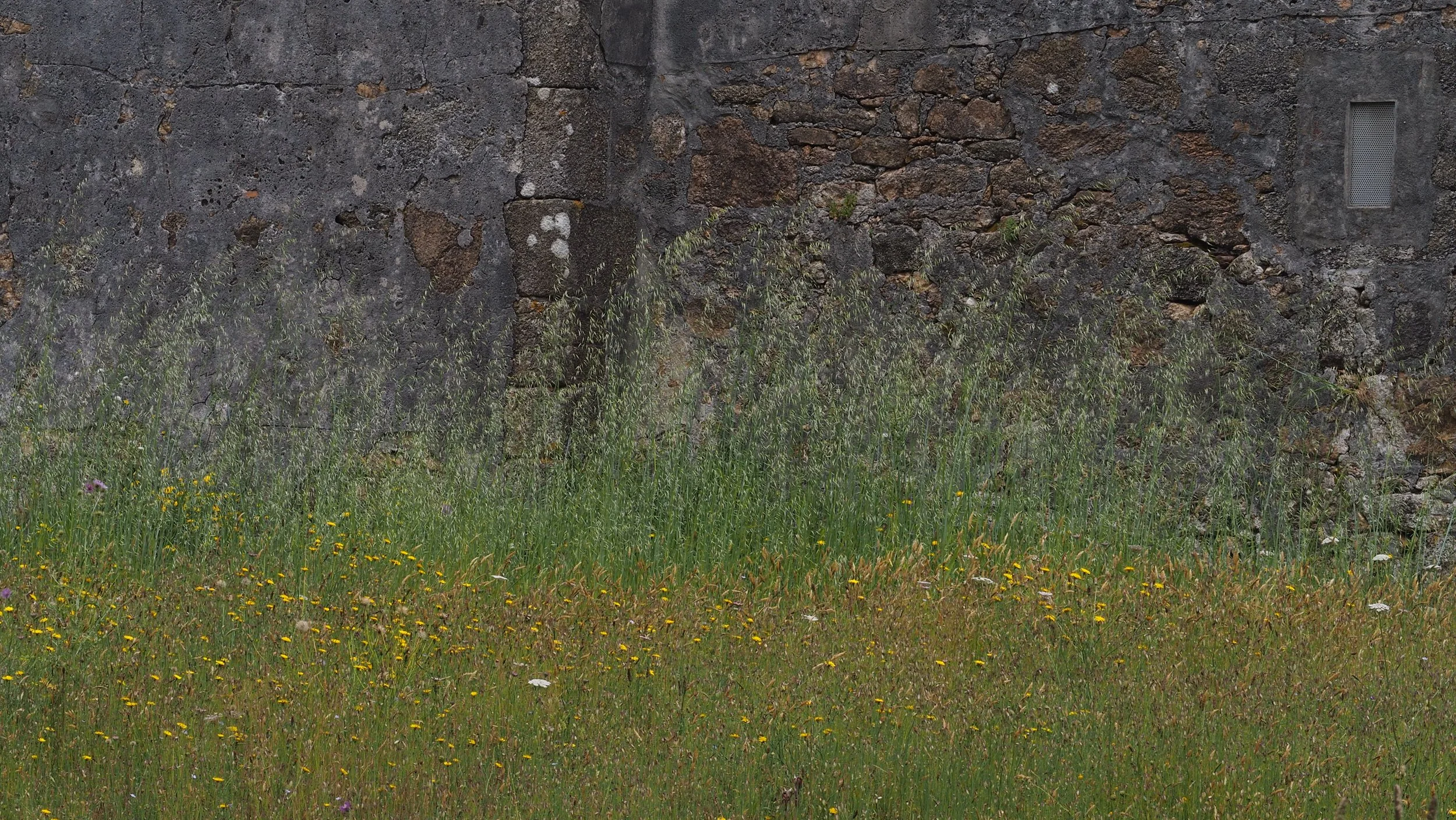 P6020466.JPG
