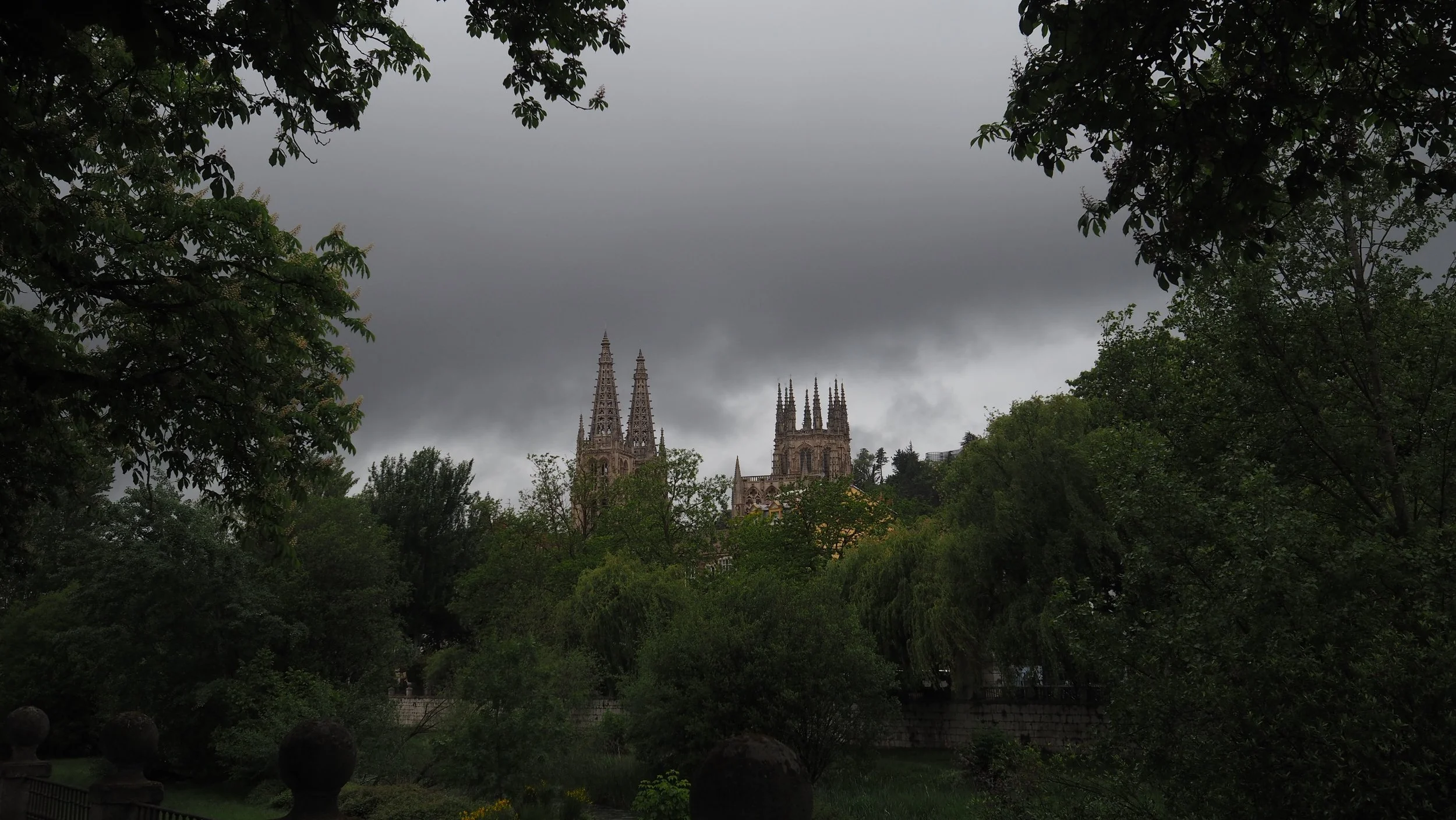 P5101149.JPG
