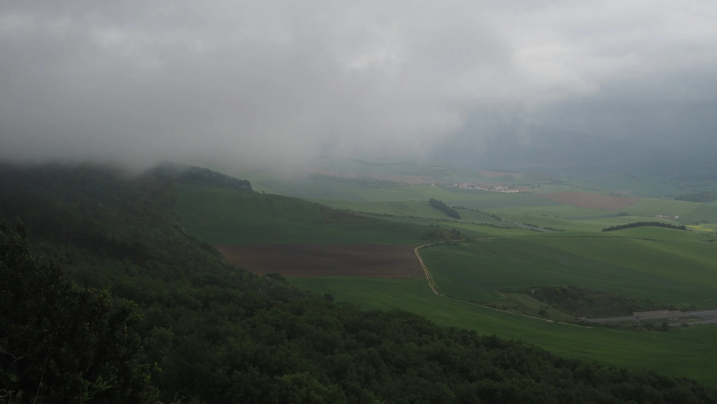 P5020229.JPG